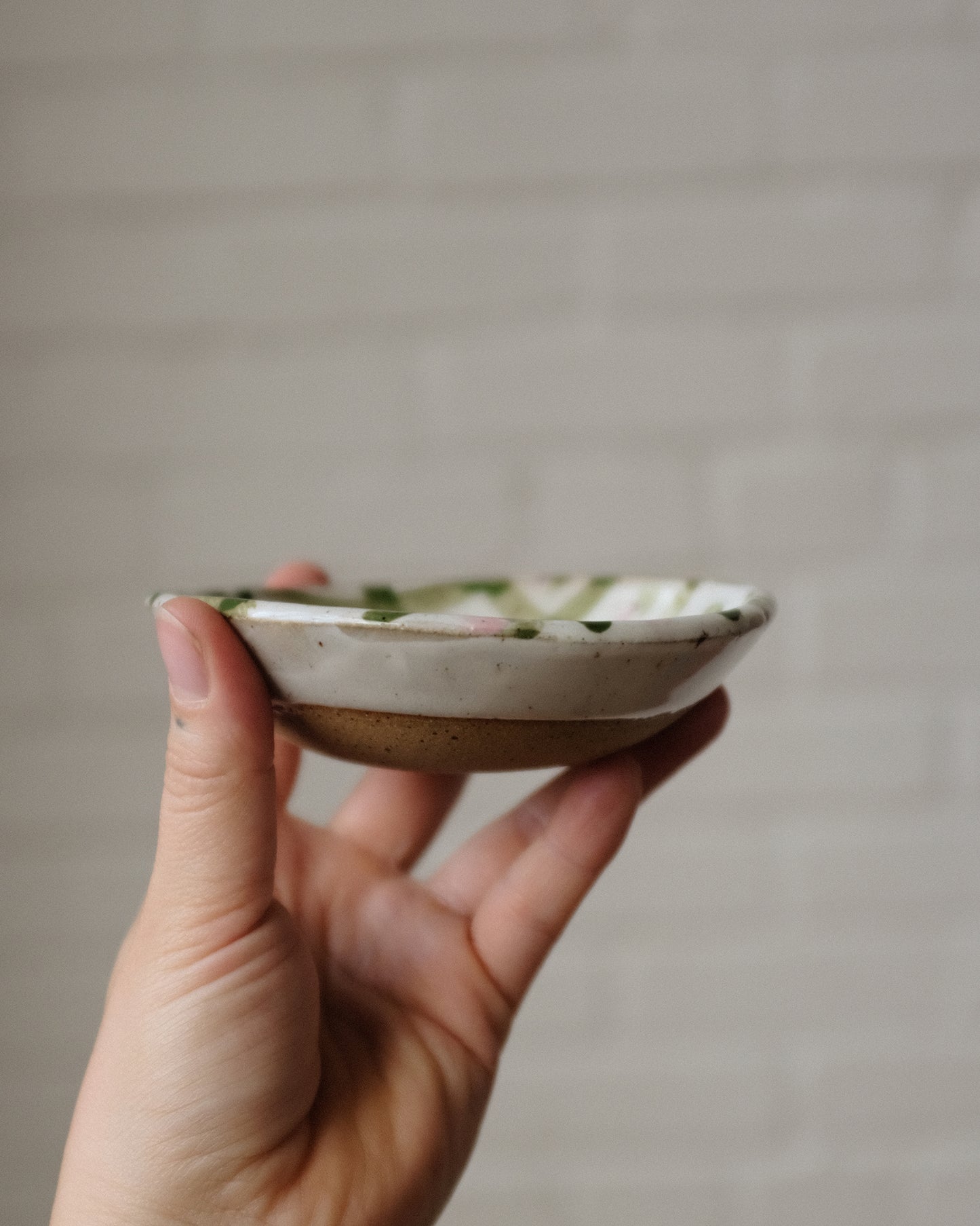 Picnic snack bowl 05