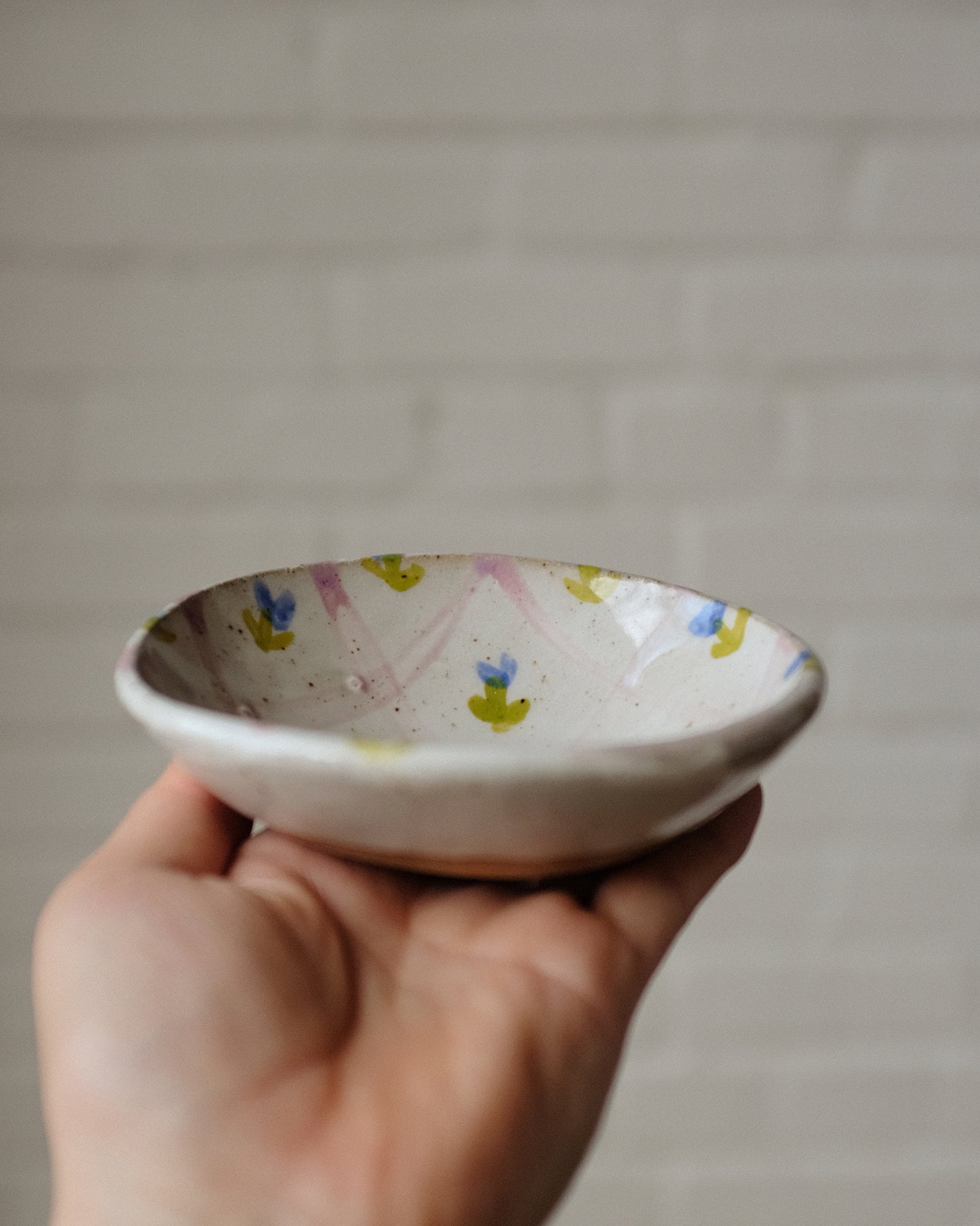 Picnic snack bowl 07