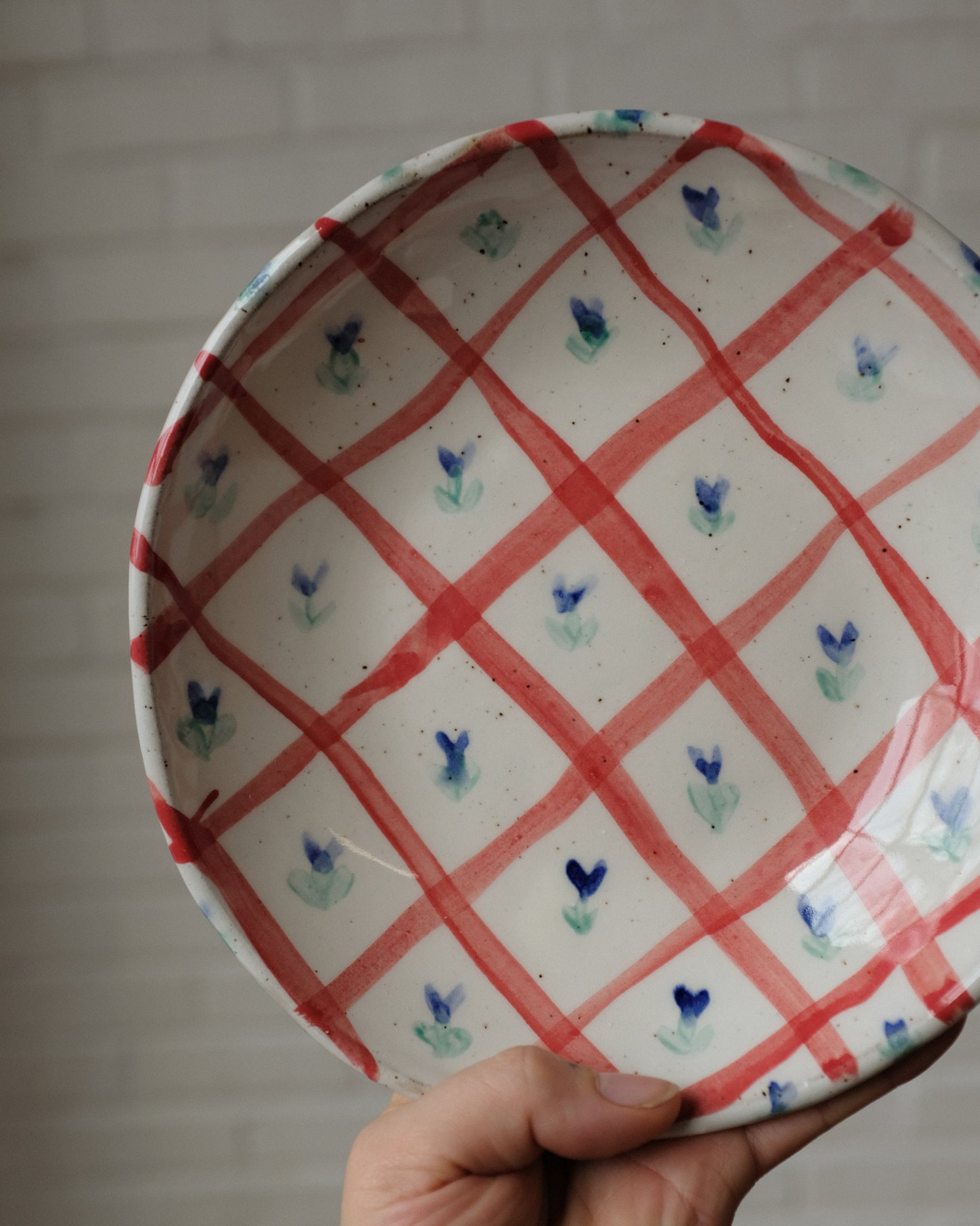 picnic pasta bowl 01