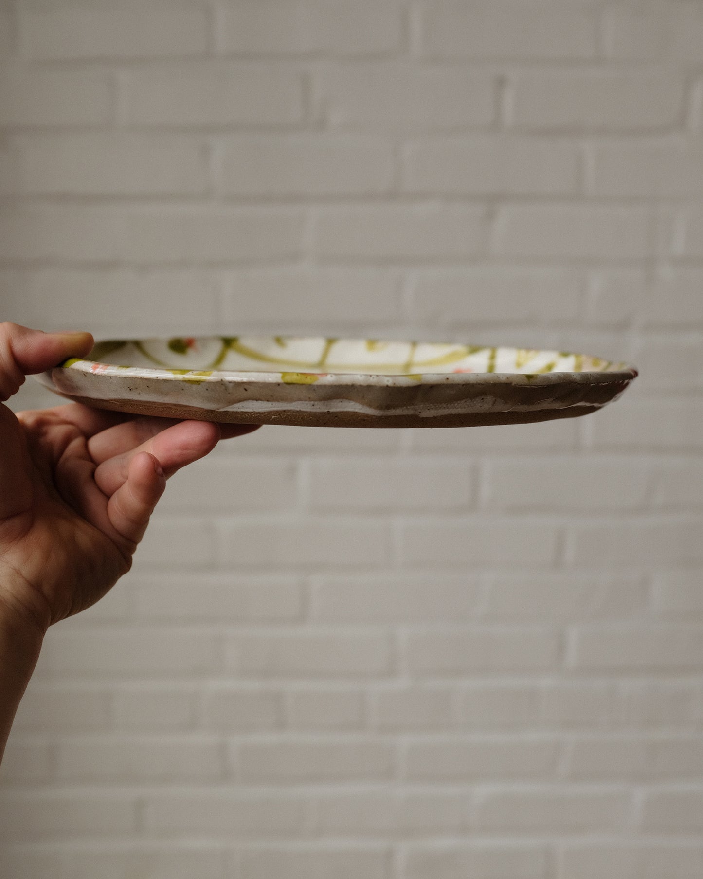 picnic dinner plate 01