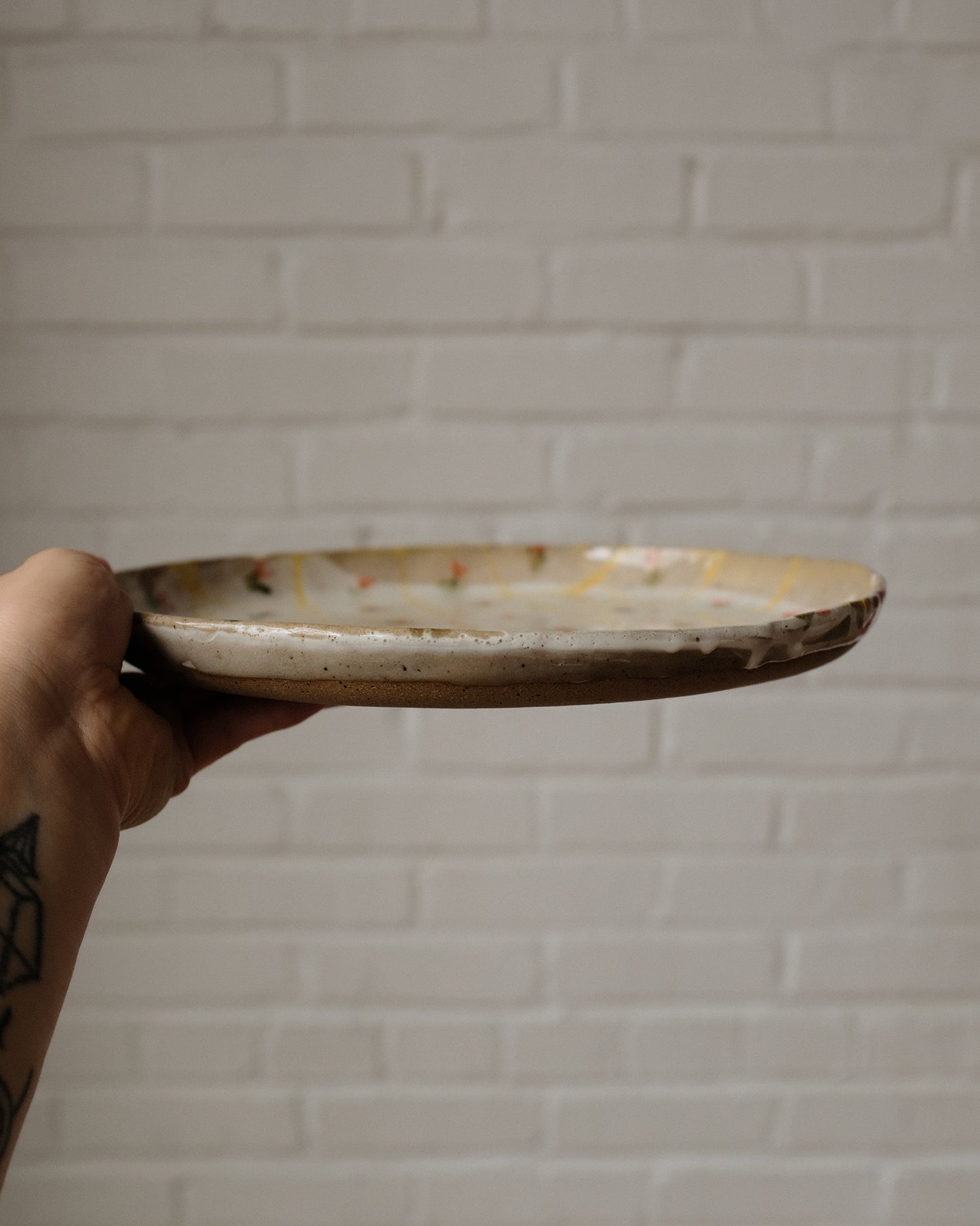 picnic dinner plate 06