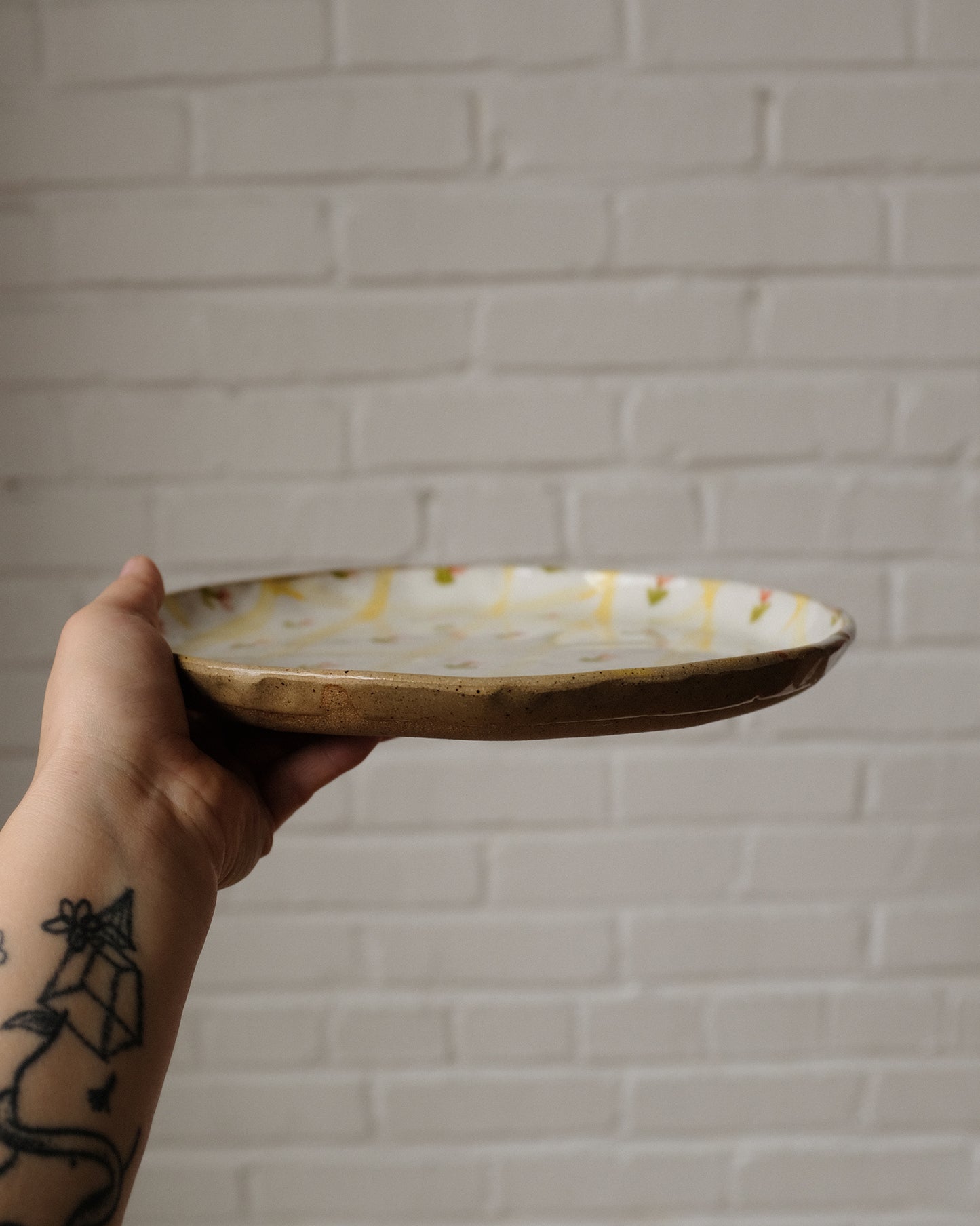 picnic dinner plate 07