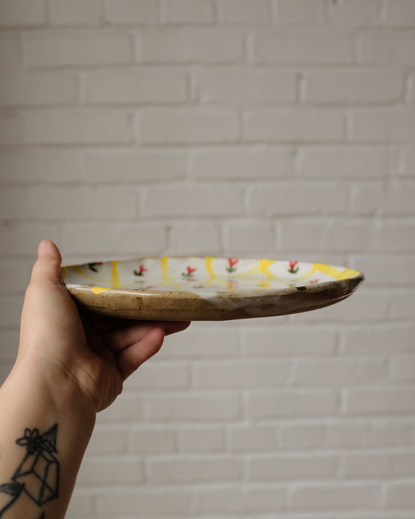 picnic dinner plate 10