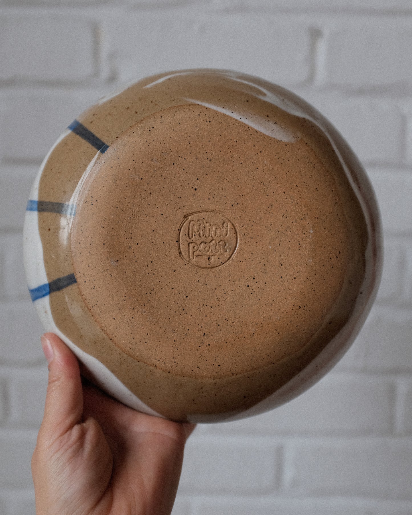 picnic pasta bowl 01