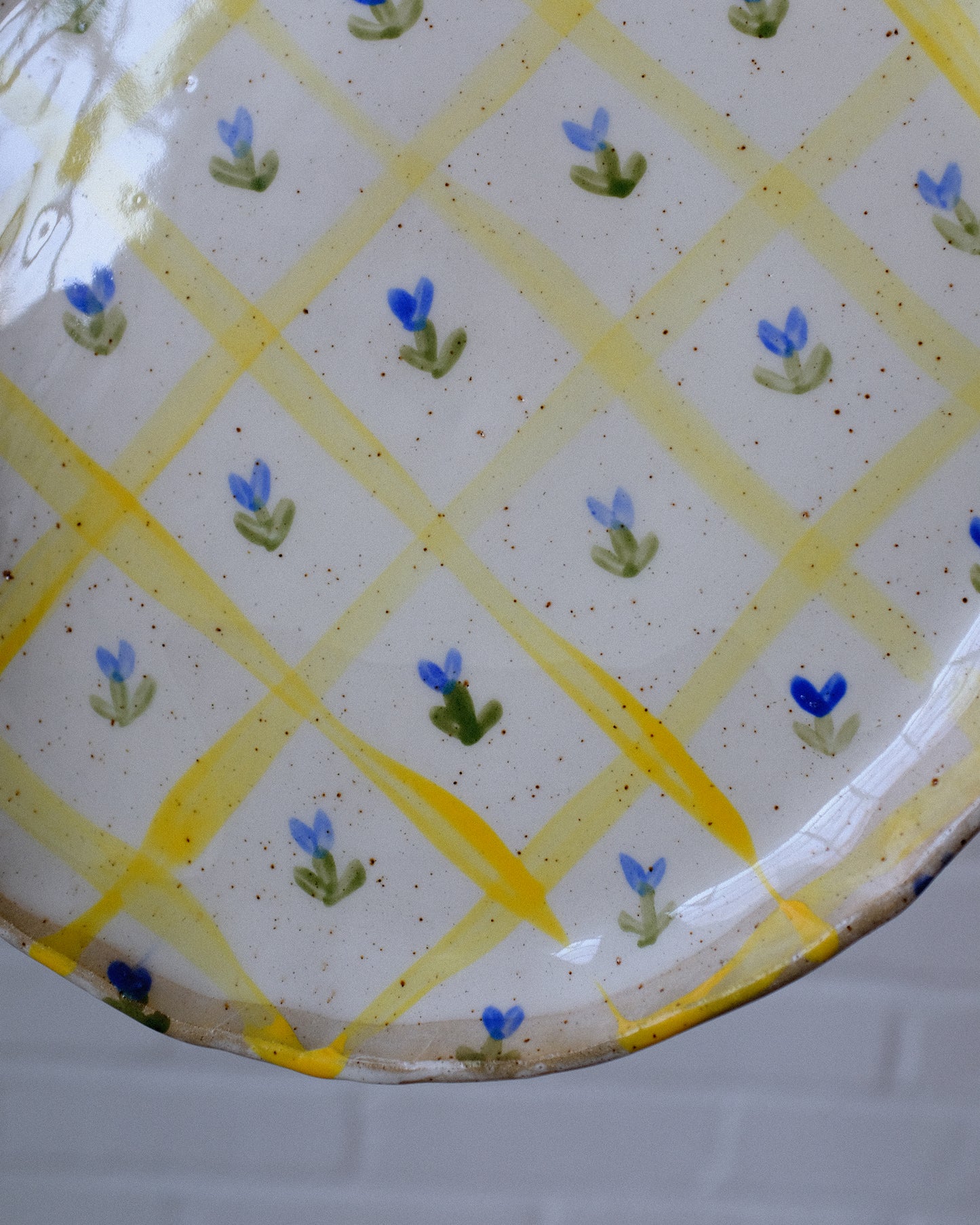 picnic dinner plate 01