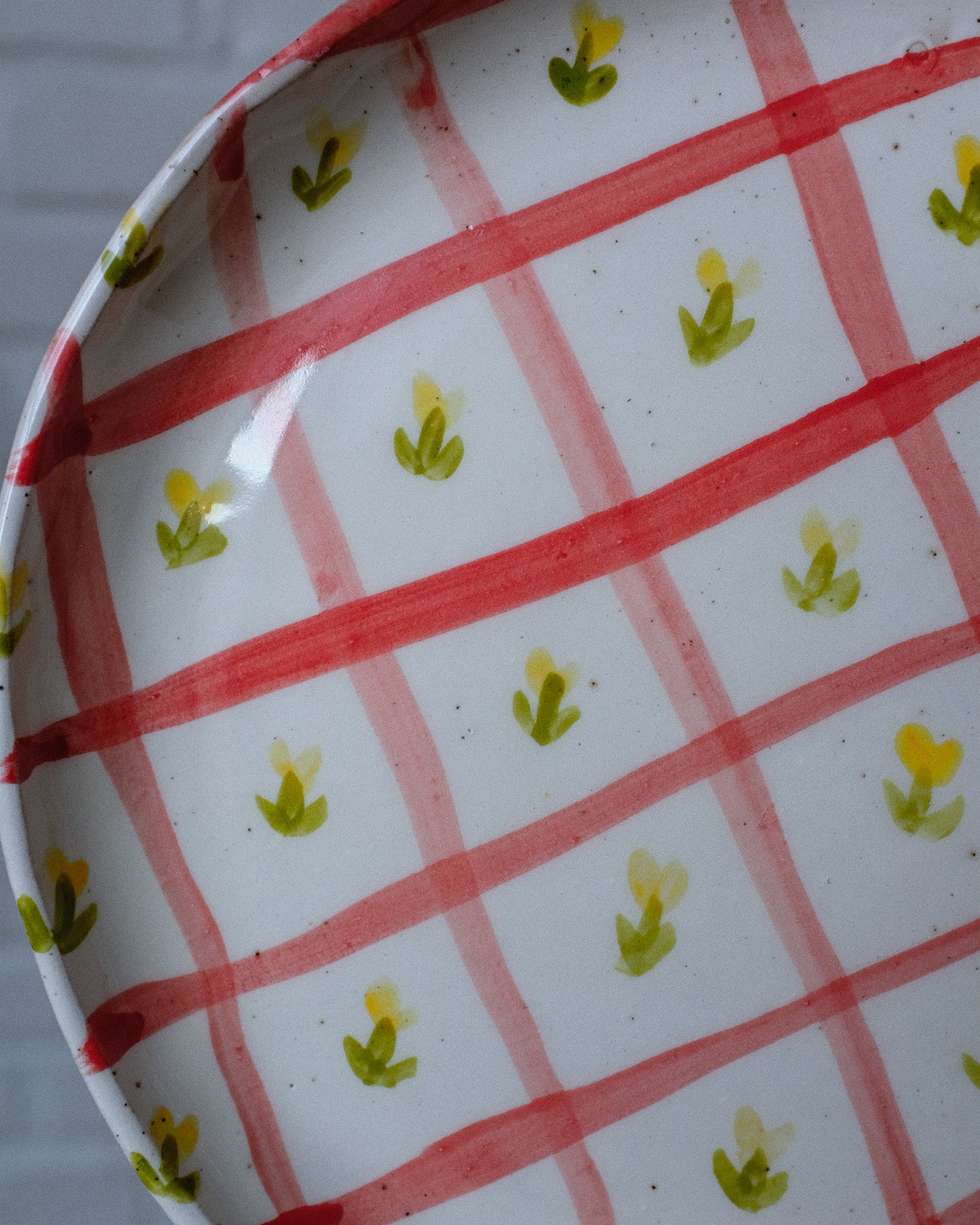 picnic dinner plate 04