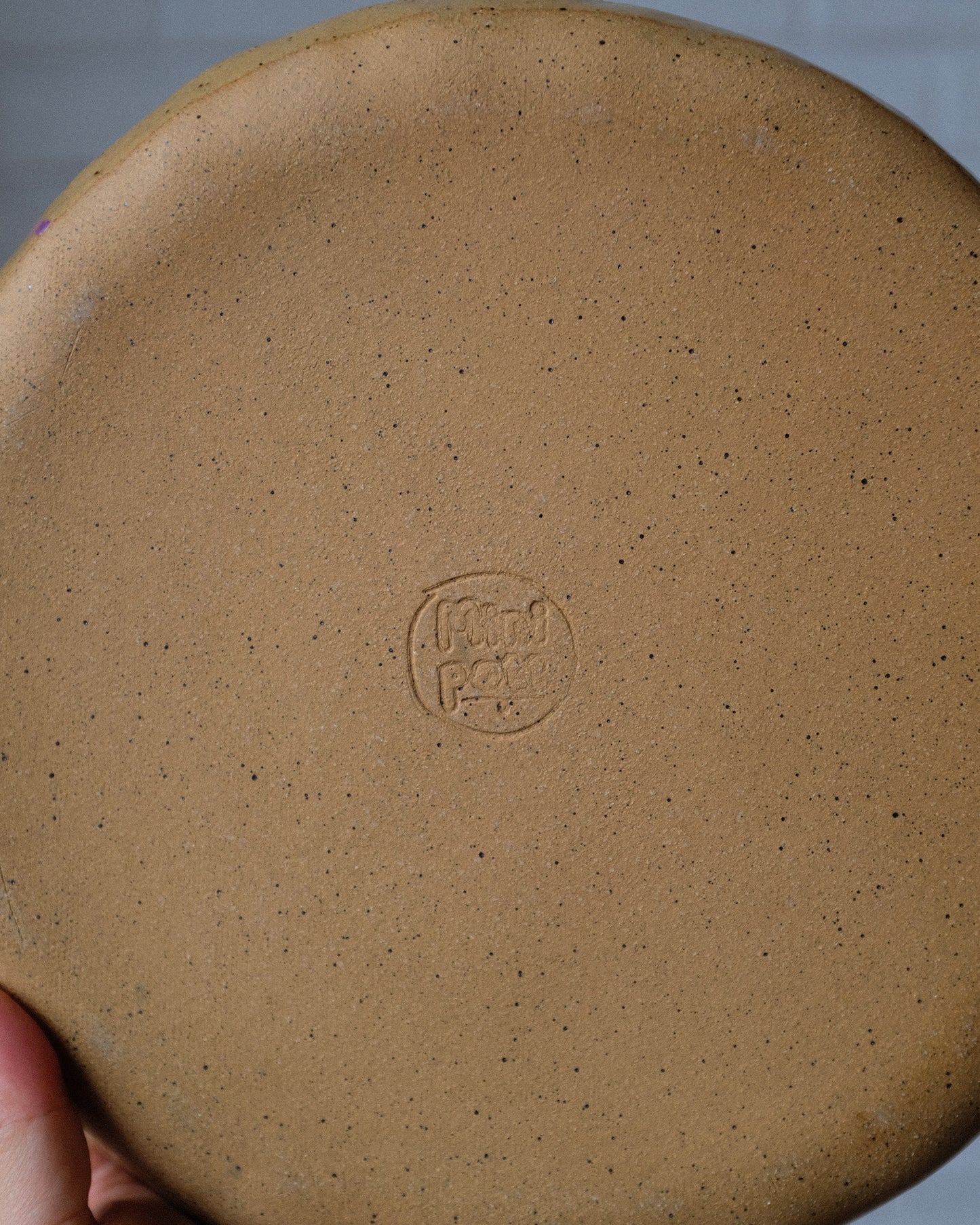 picnic dinner plate 04