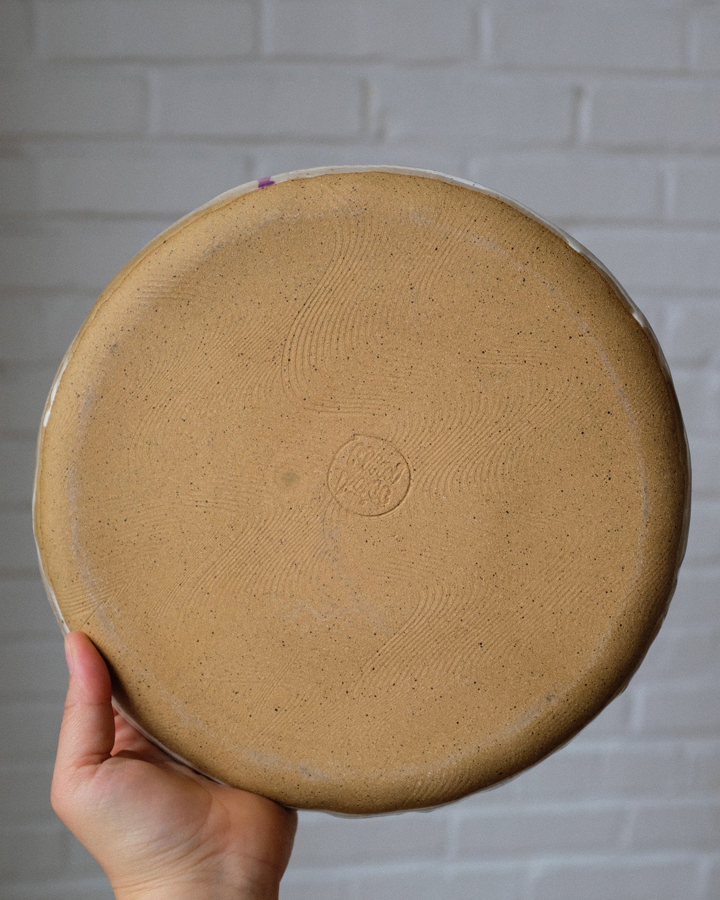 picnic dinner plate 06