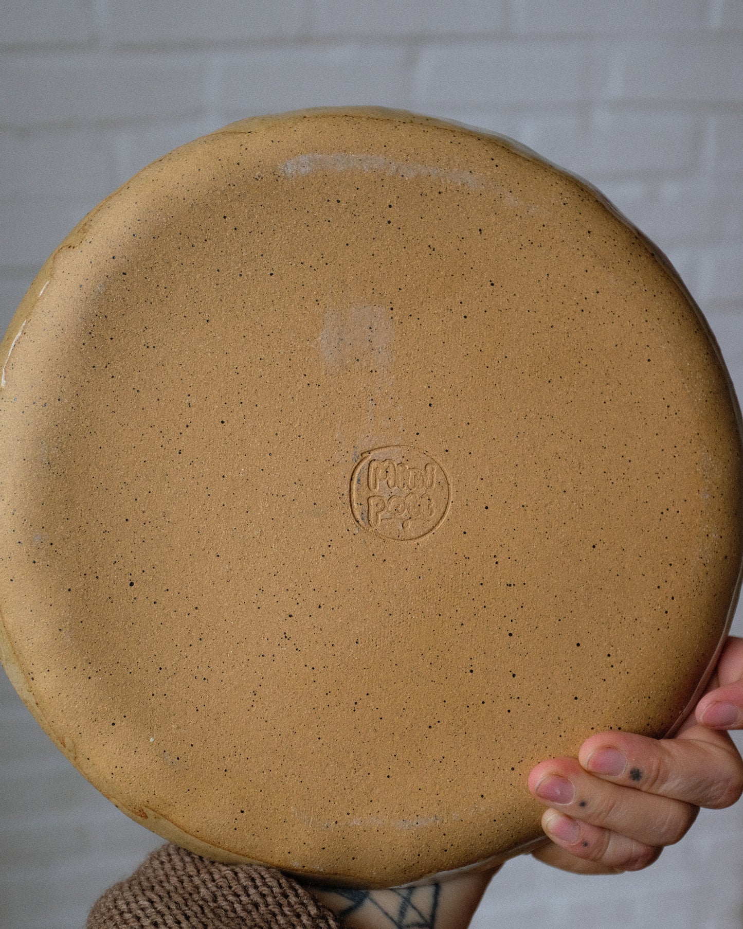 picnic dinner plate 08