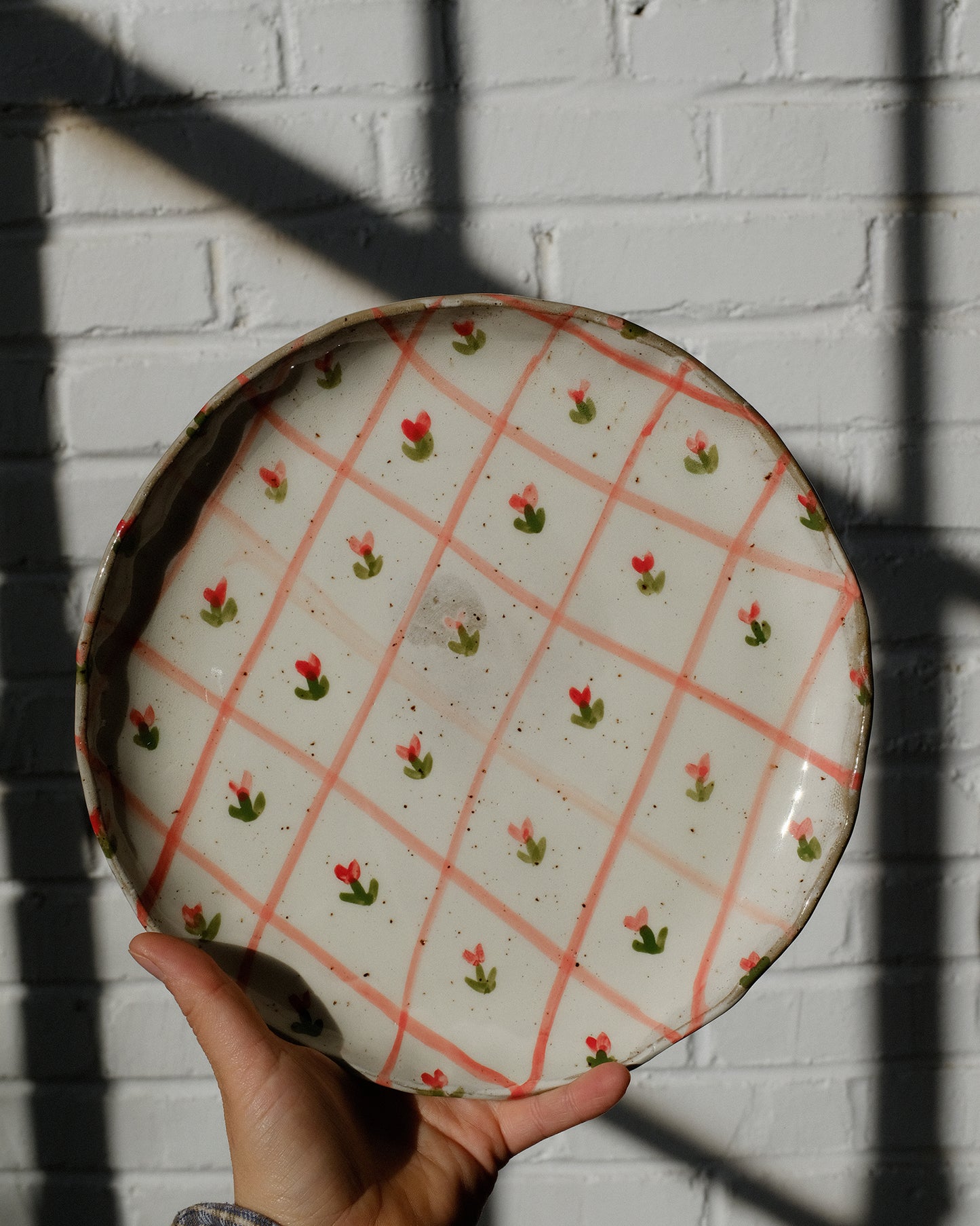 picnic dinner plate 05