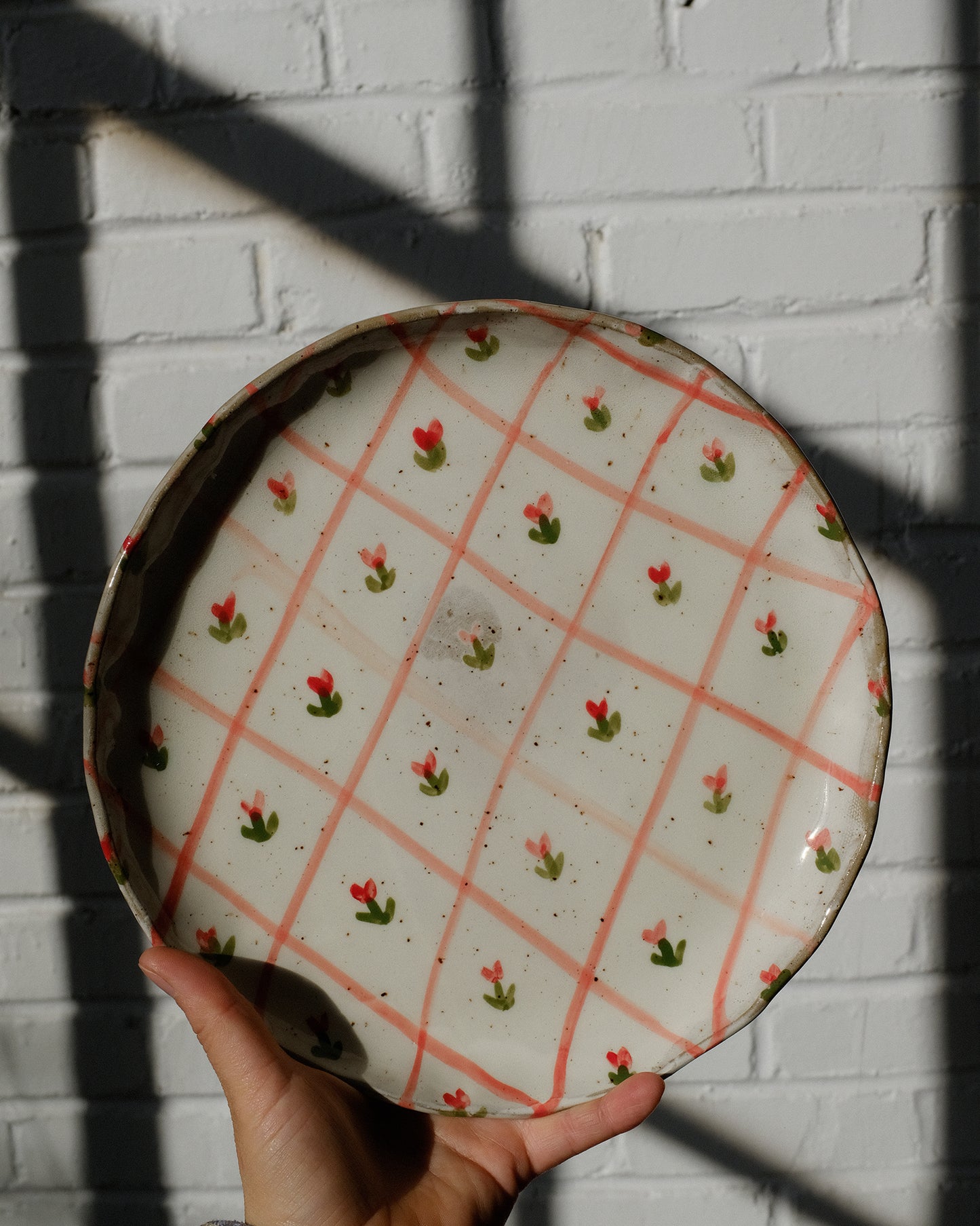 picnic dinner plate 05
