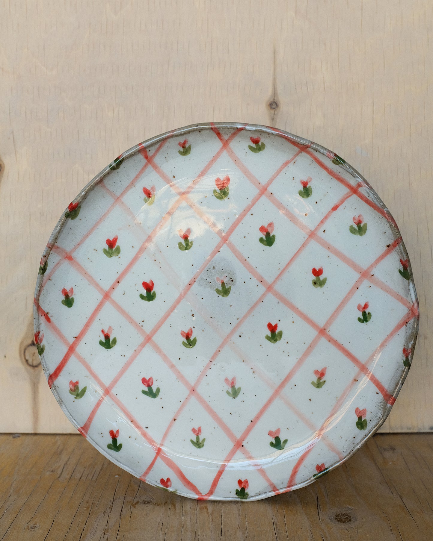 picnic dinner plate 05