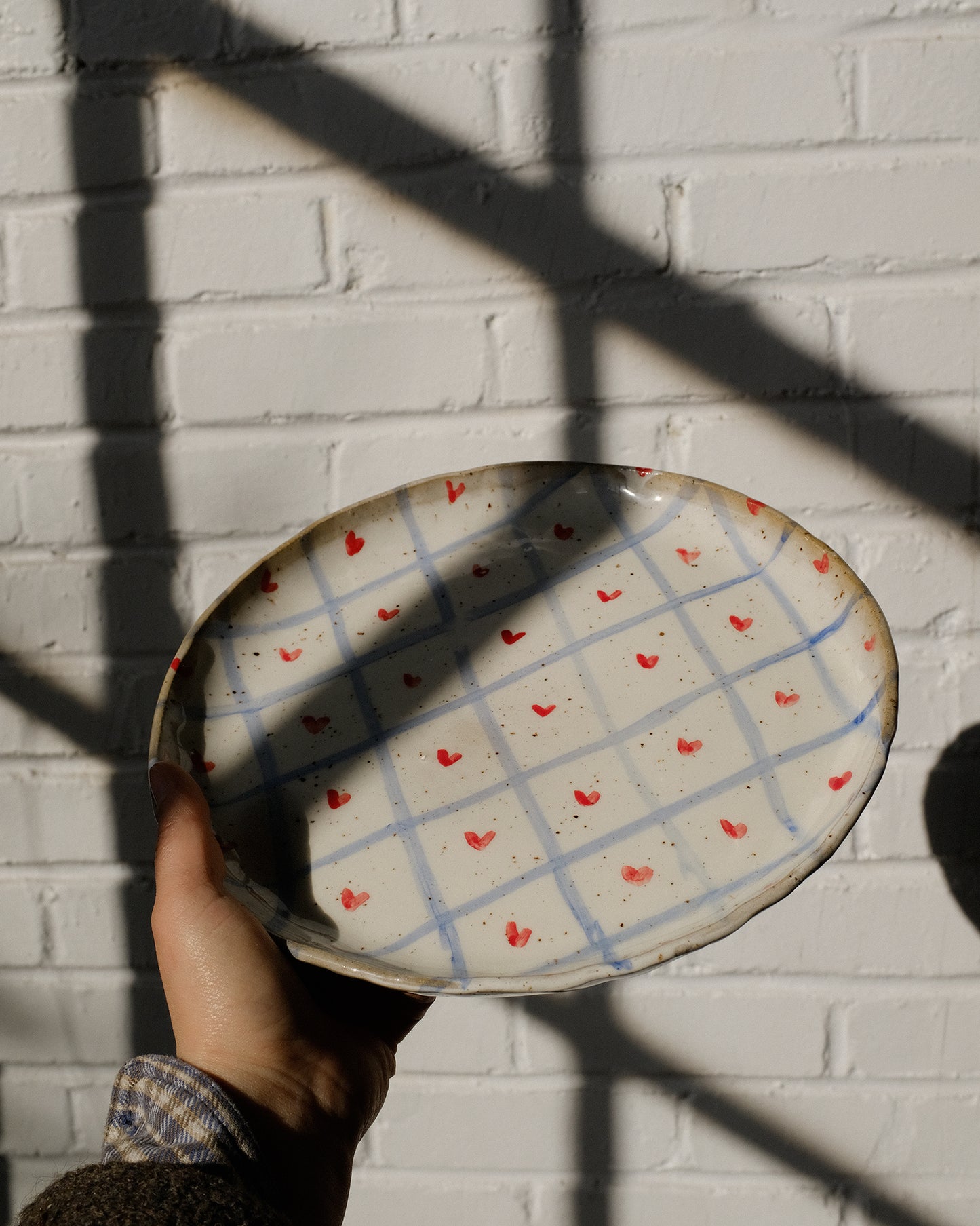 picnic dinner plate 06