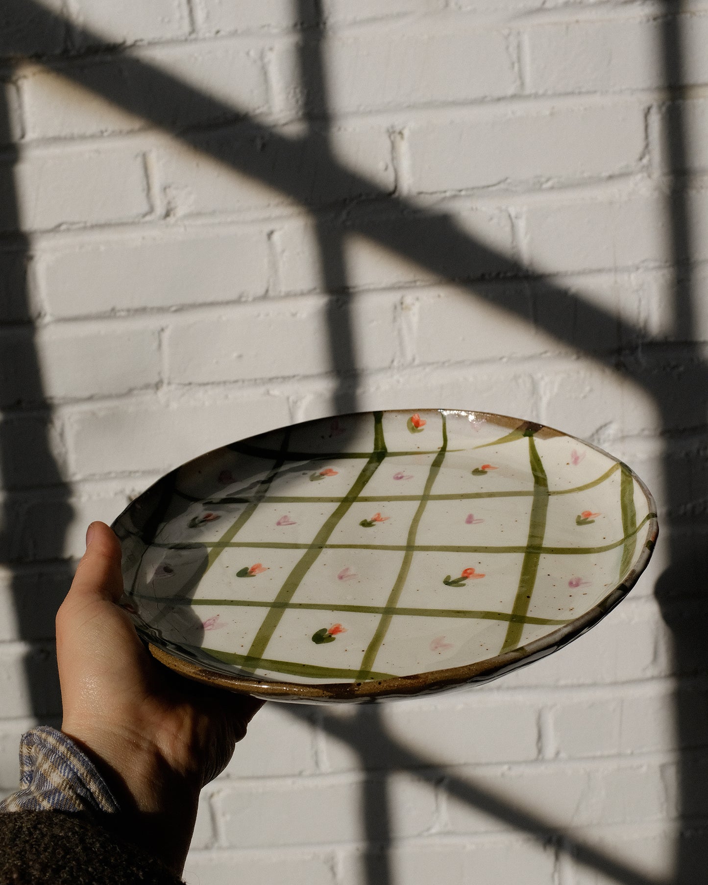 picnic dinner plate 10