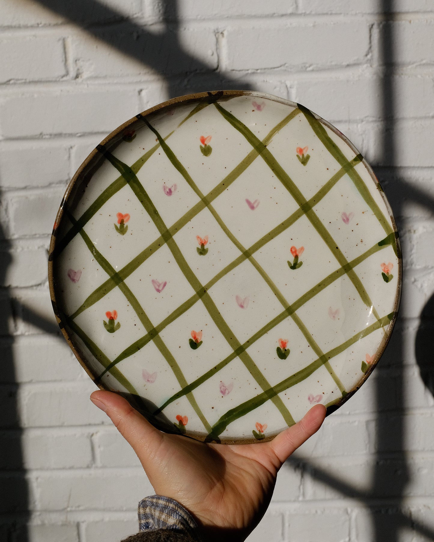 picnic dinner plate 10