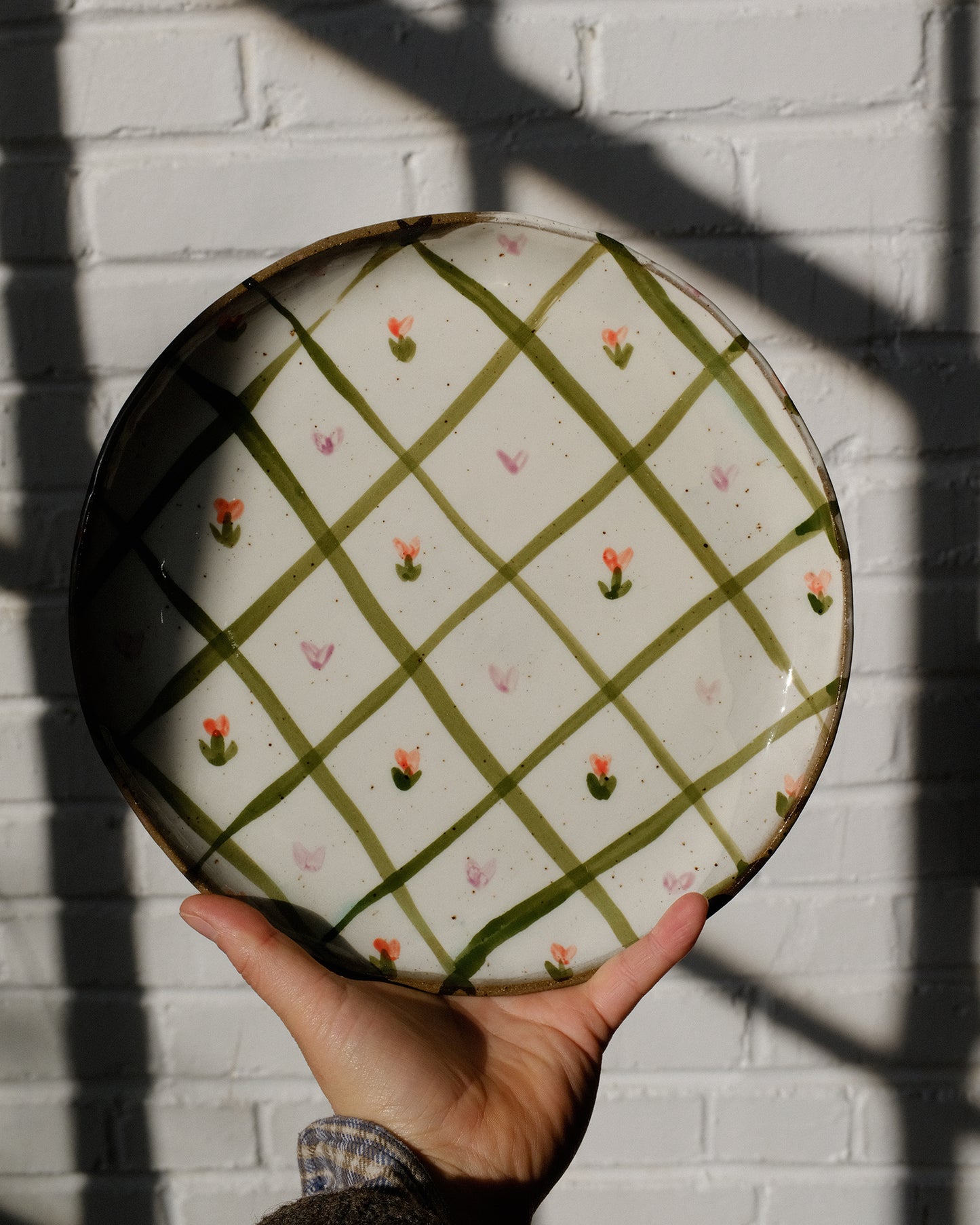 picnic dinner plate 10