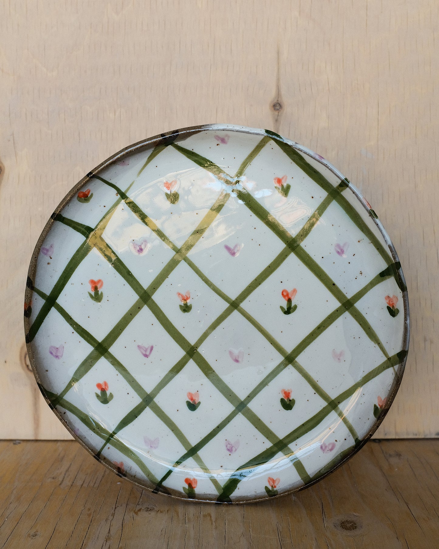 picnic dinner plate 10