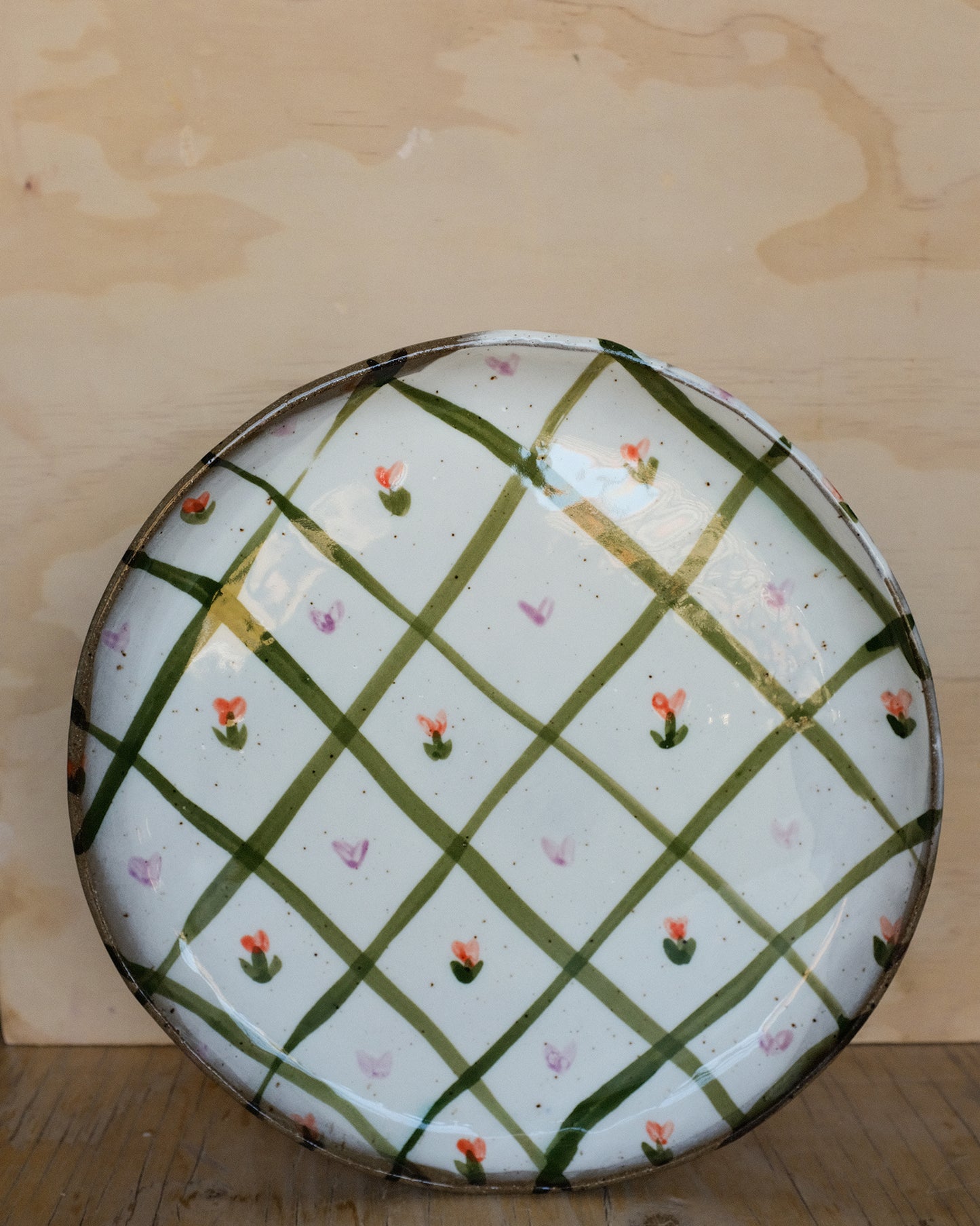 picnic dinner plate 10
