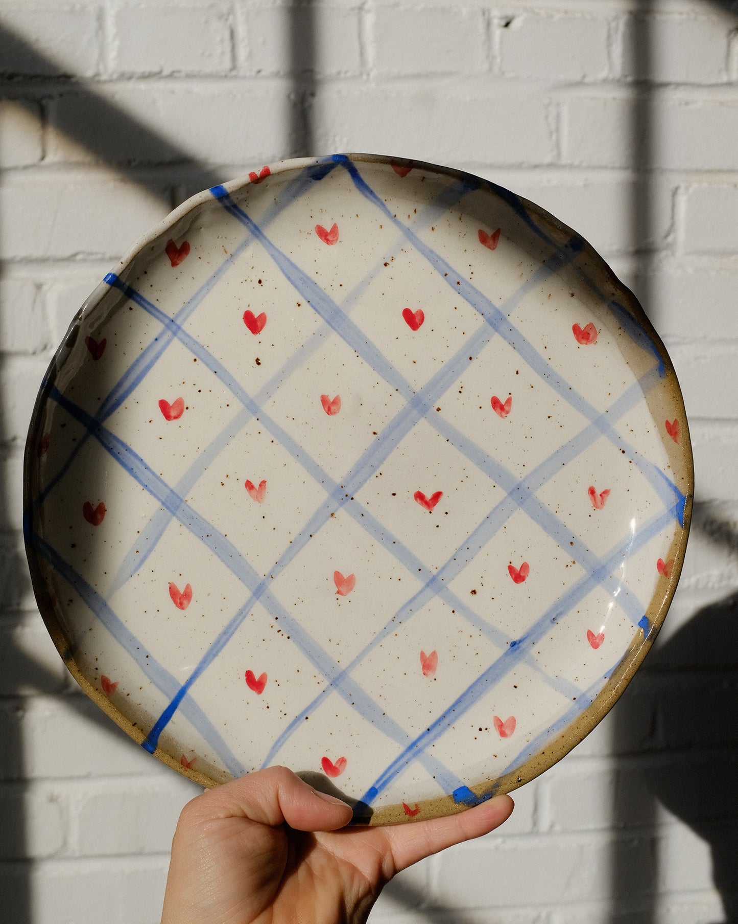 picnic dinner plate 11