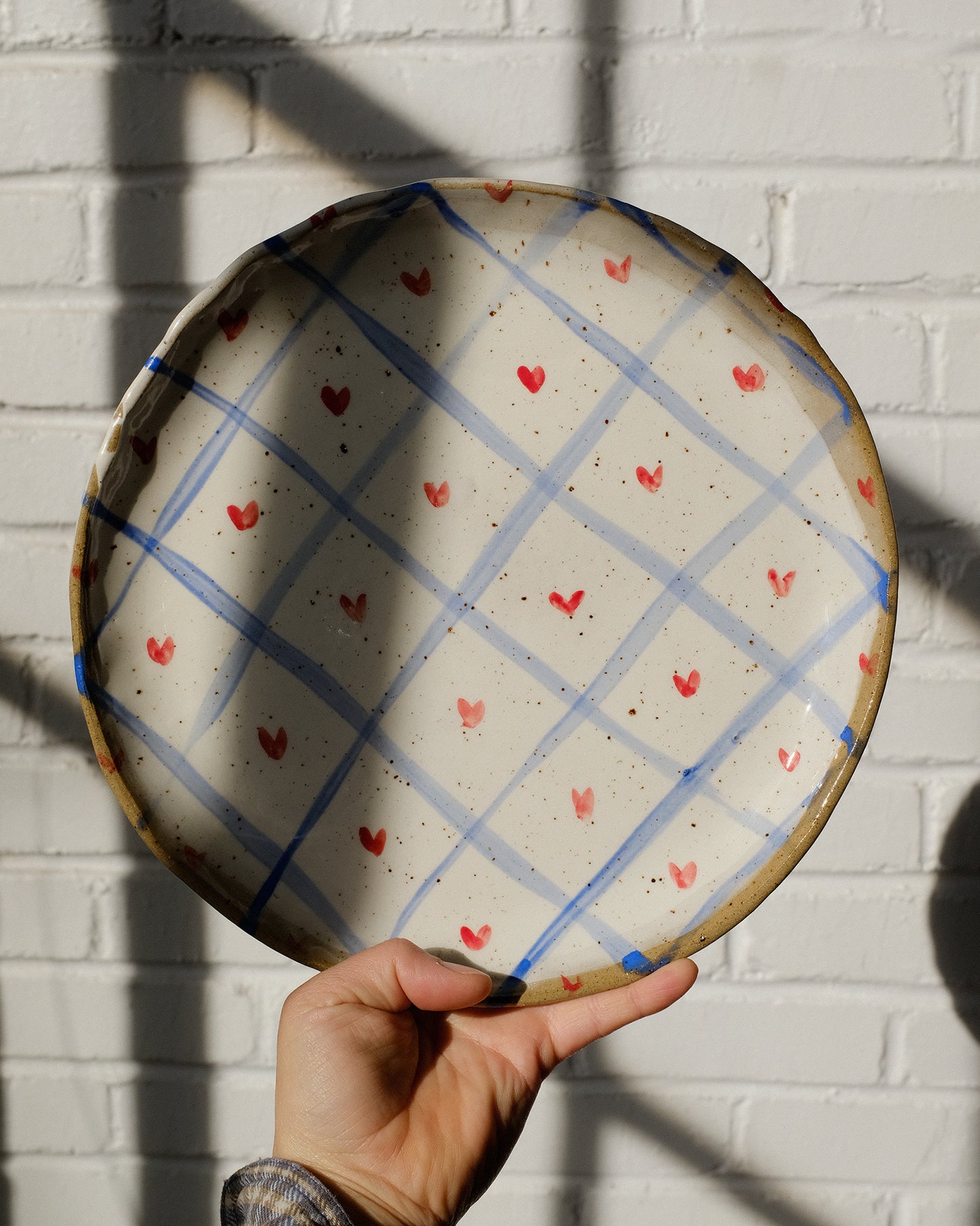picnic dinner plate 11