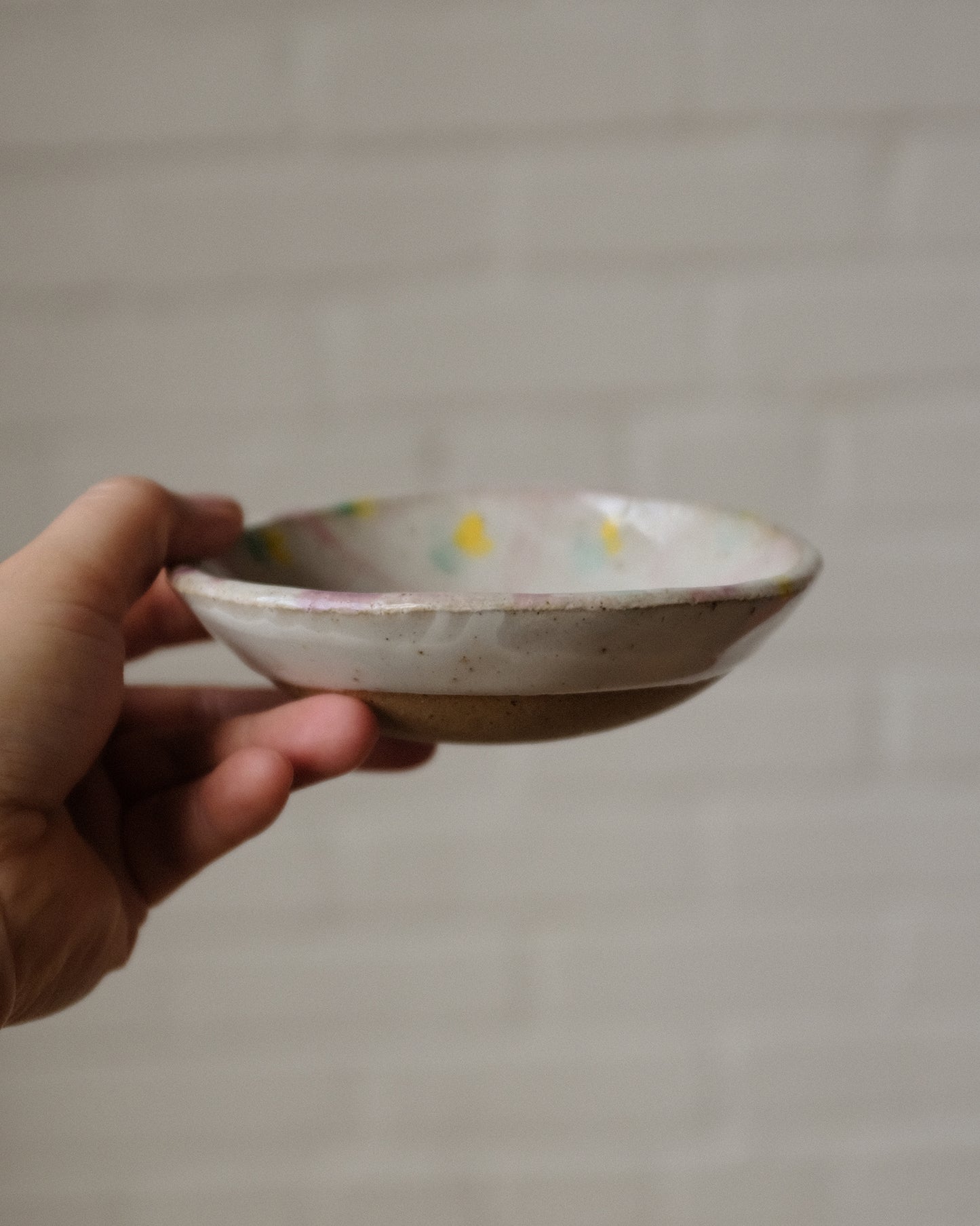 Picnic snack bowl 03