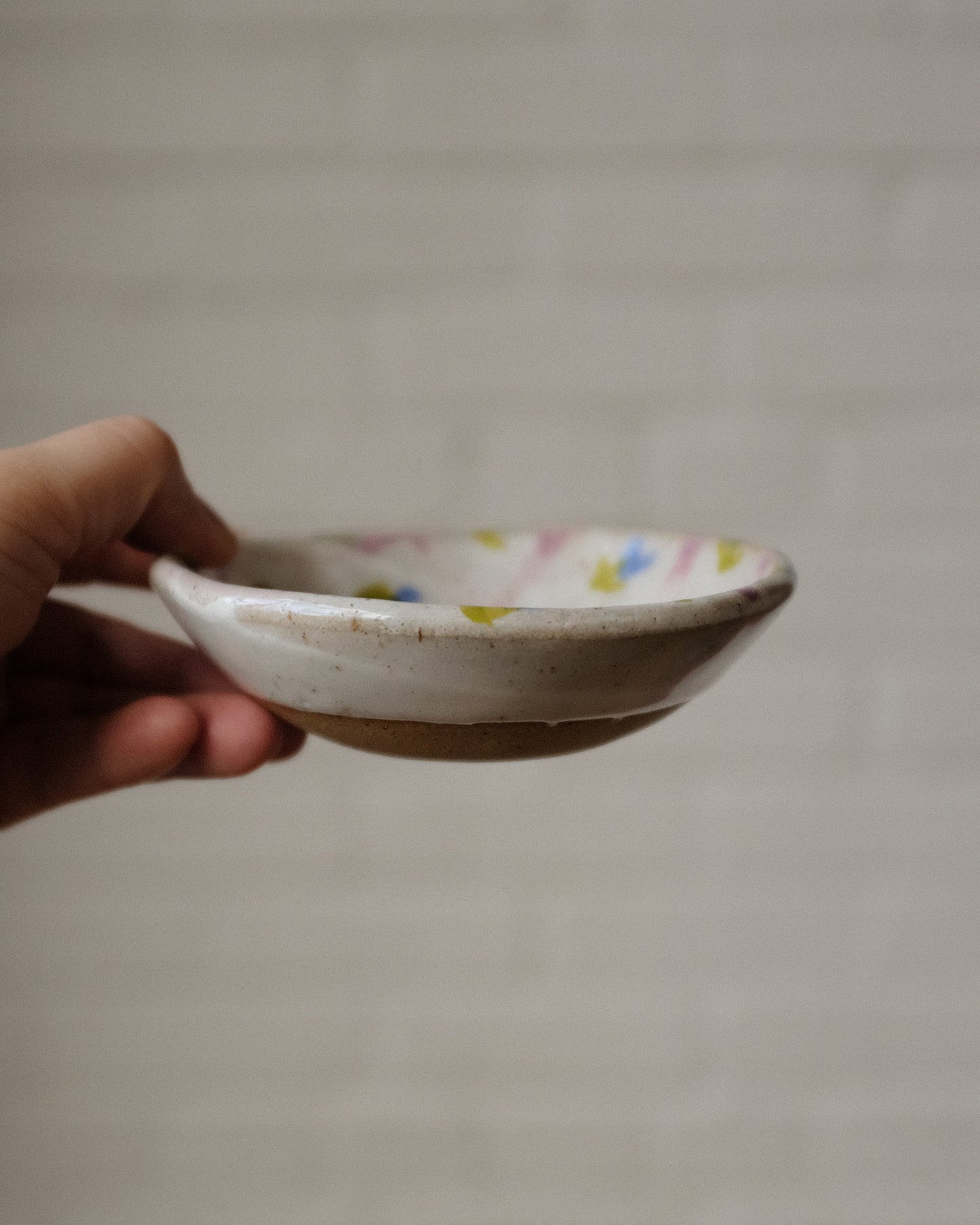 Picnic snack bowl 07