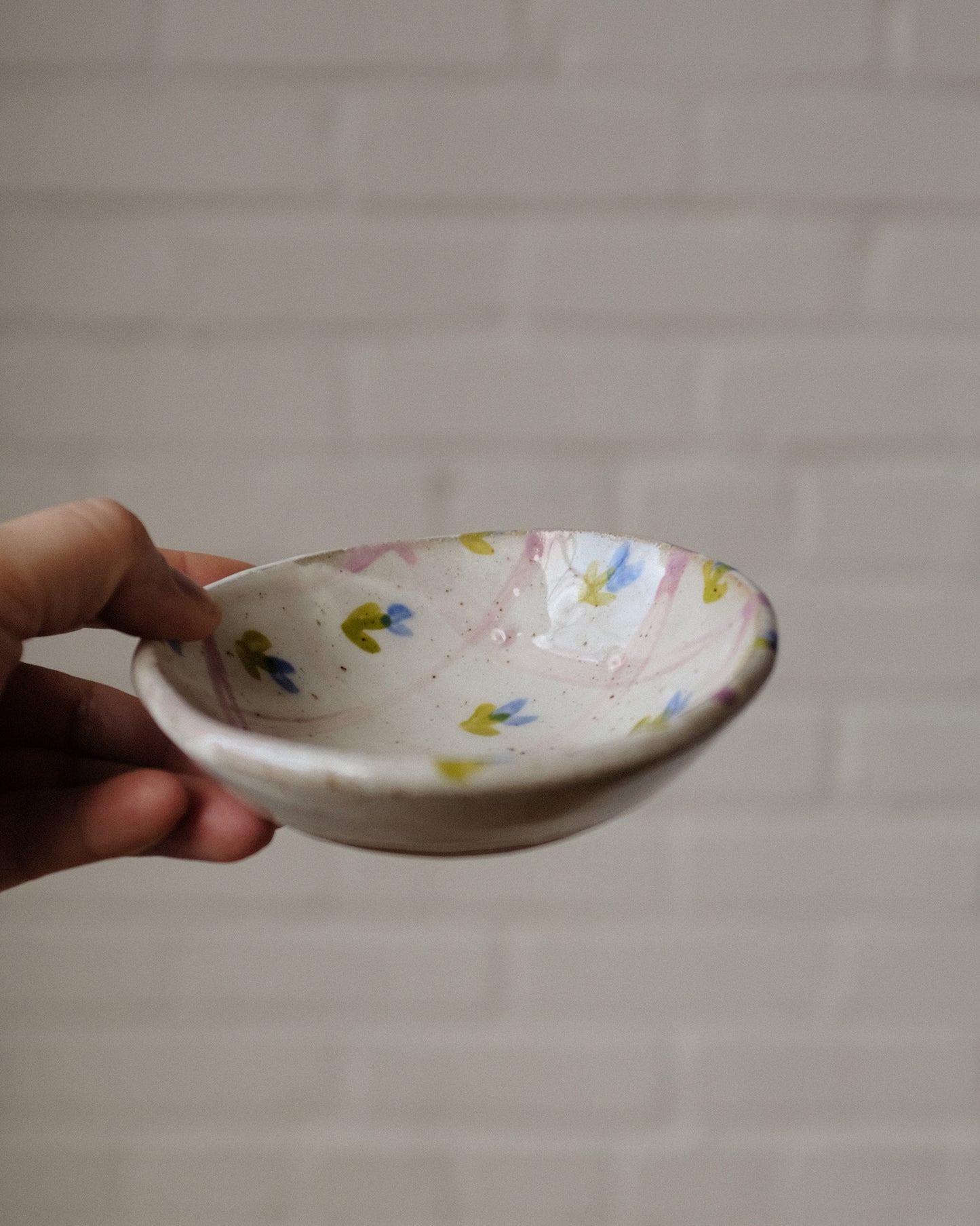 Picnic snack bowl 07