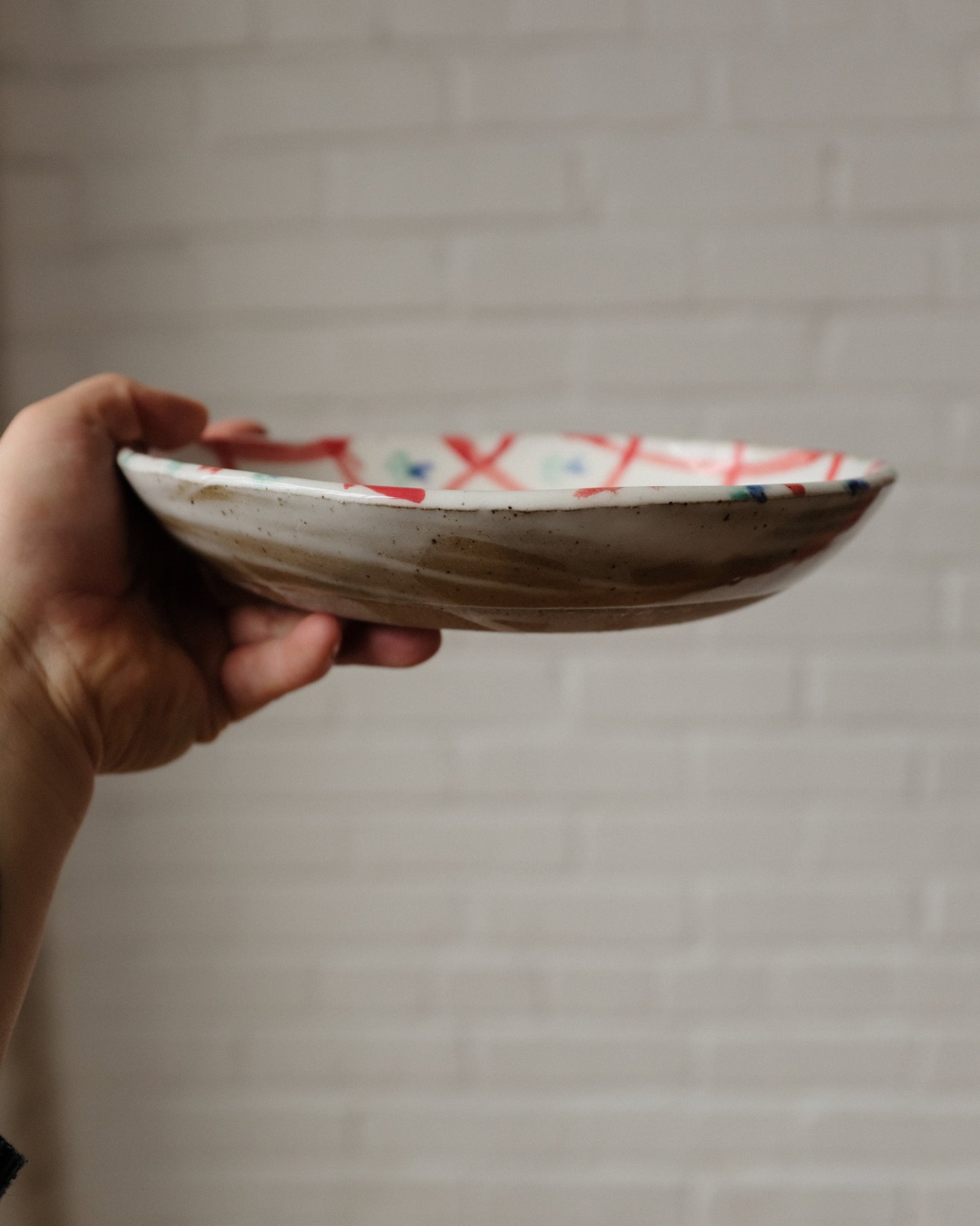 picnic pasta bowl 01