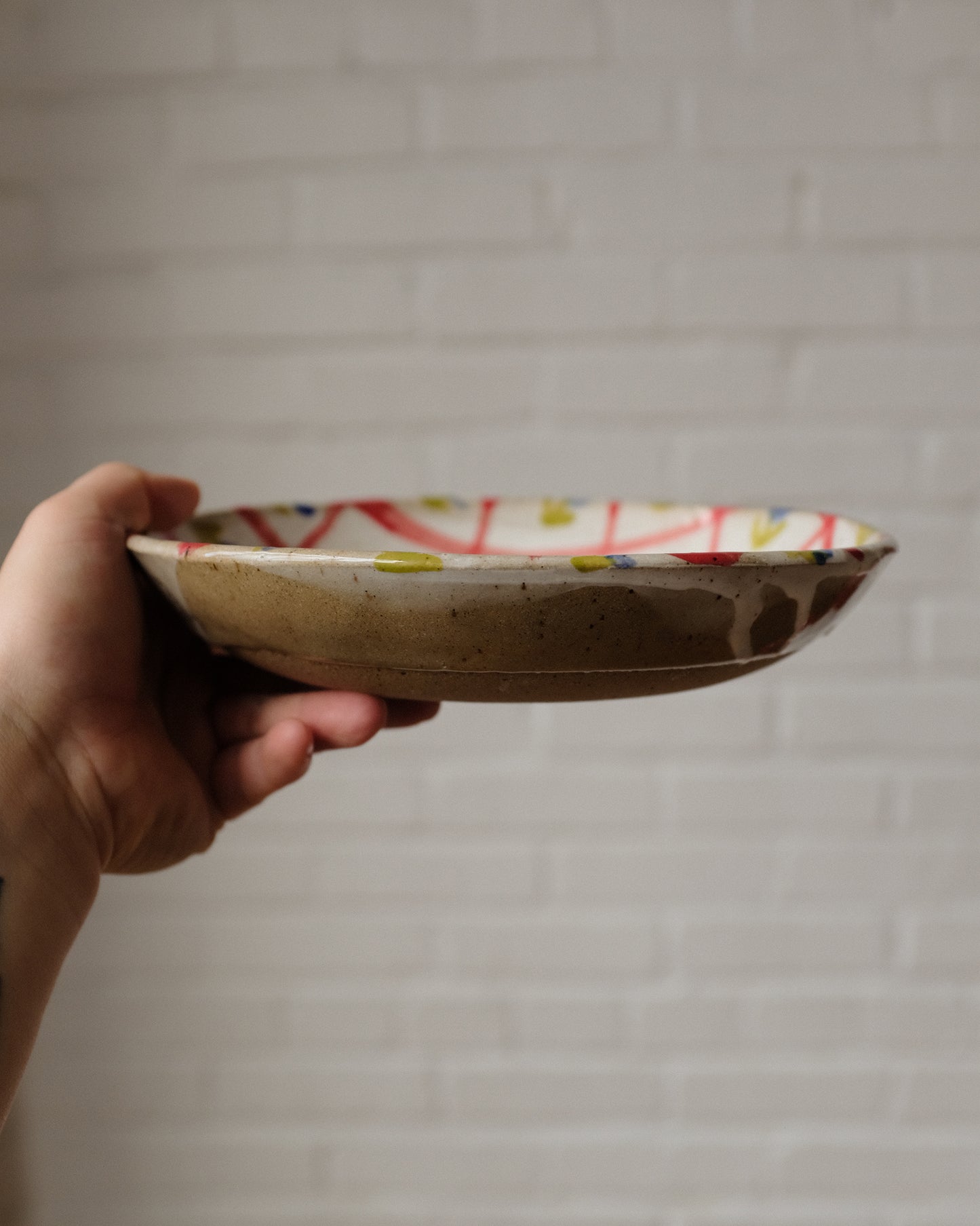 picnic pasta bowl 02