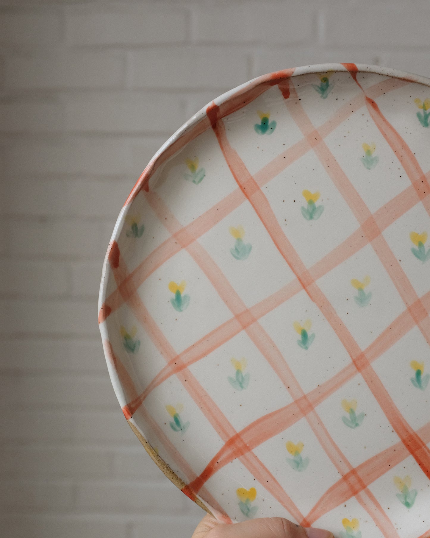 picnic dinner plate 04