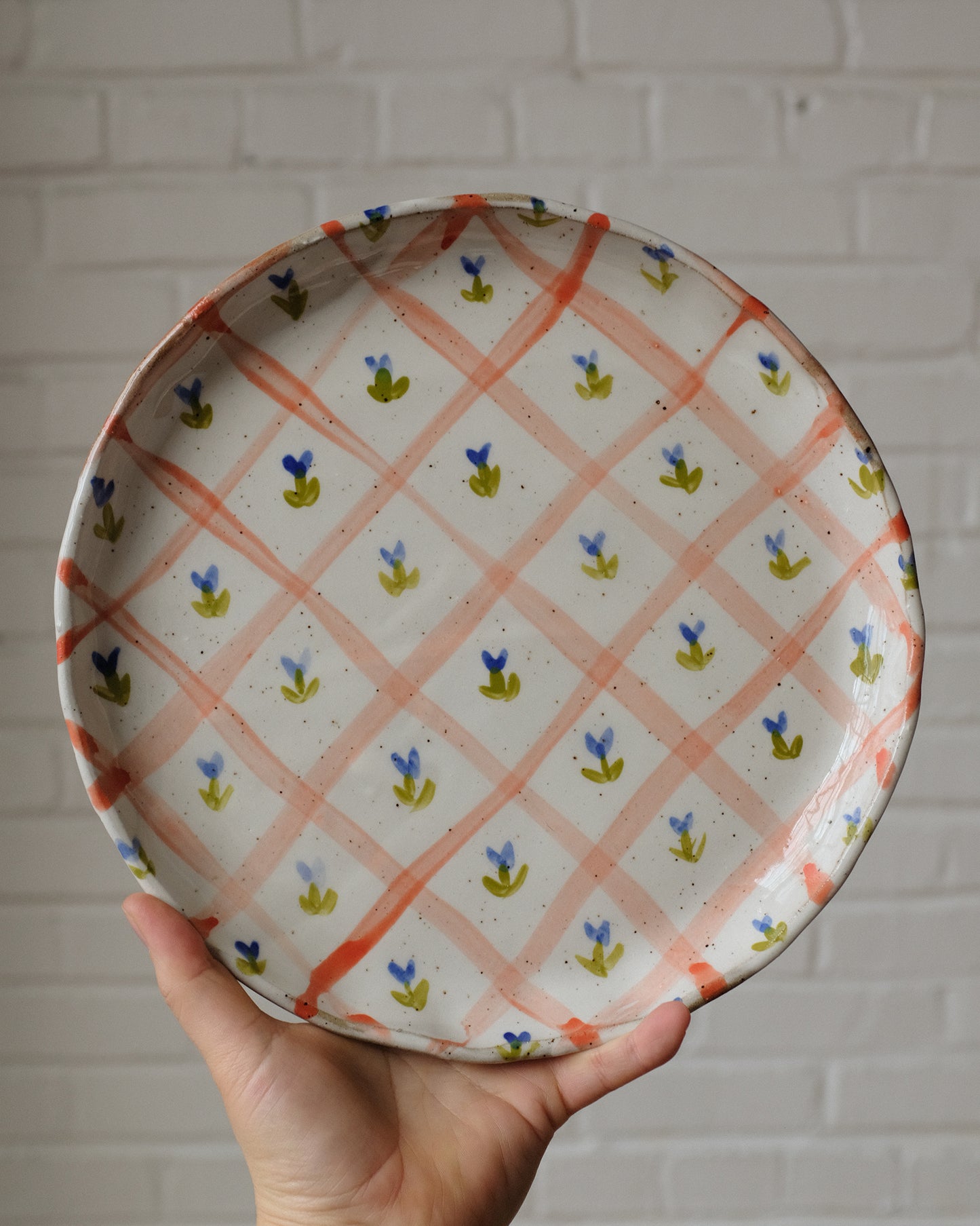 picnic dinner plate 05