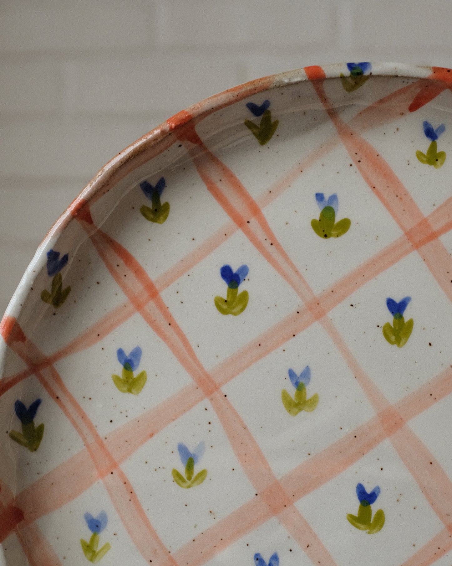 picnic dinner plate 05