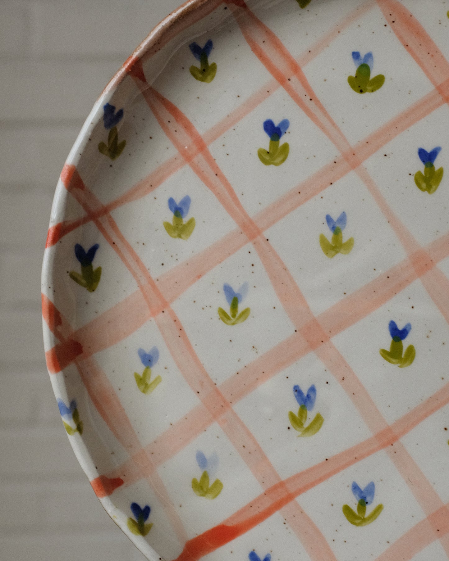 picnic dinner plate 05