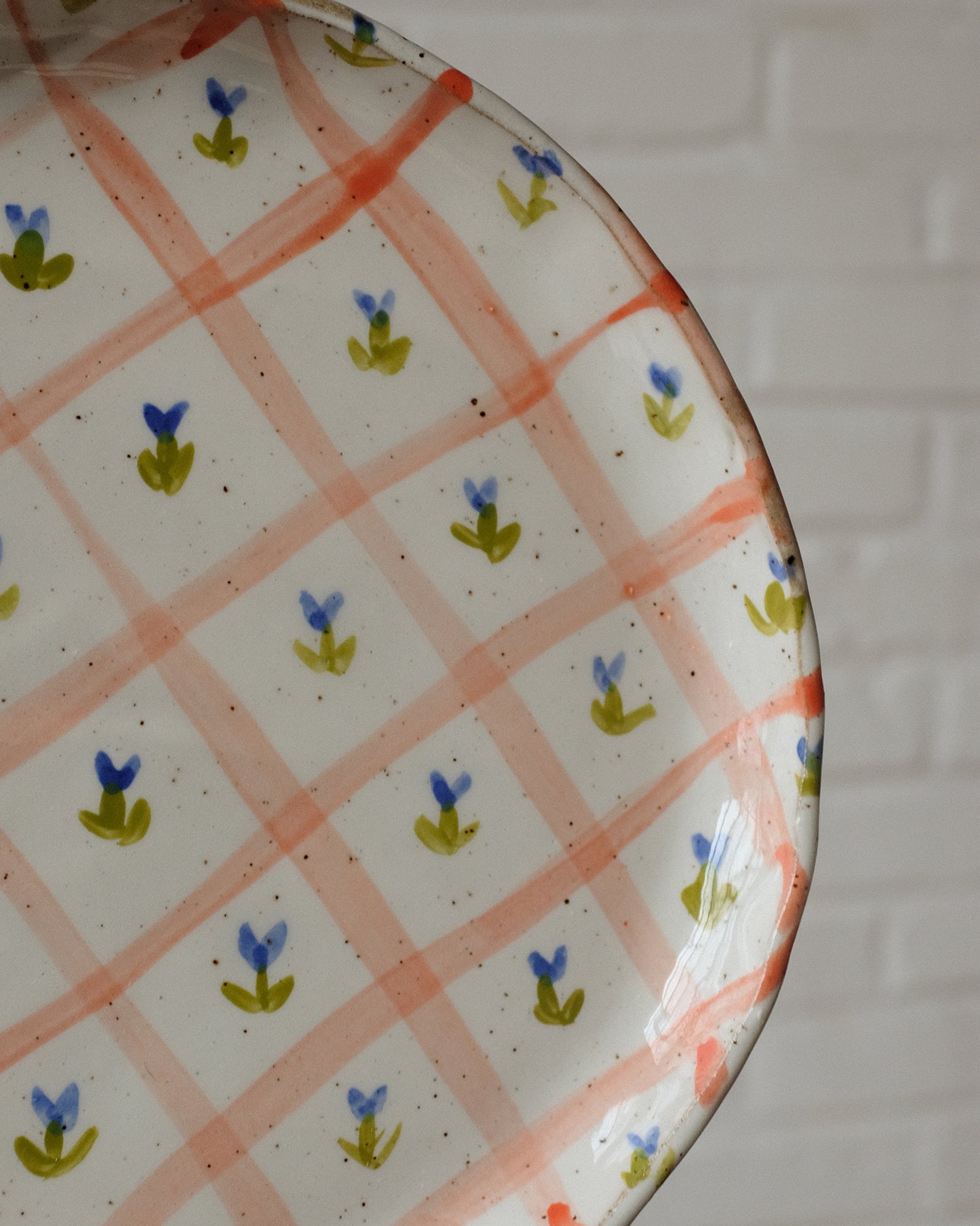 picnic dinner plate 05