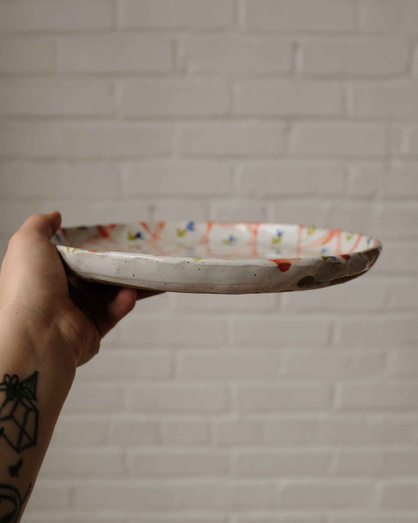 picnic dinner plate 05