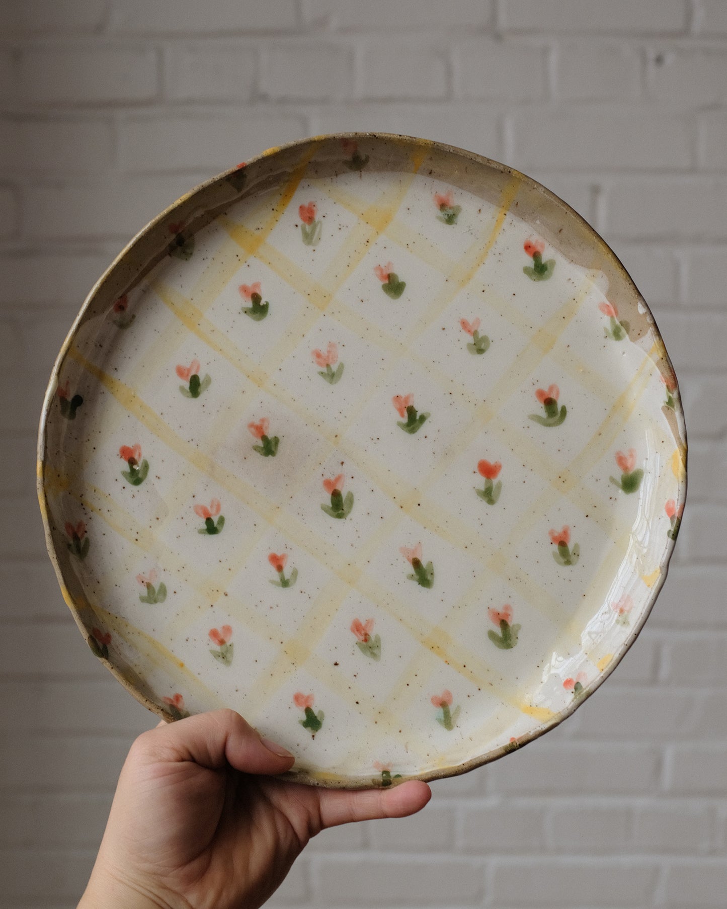 picnic dinner plate 06