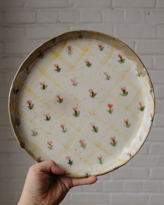 picnic dinner plate 06