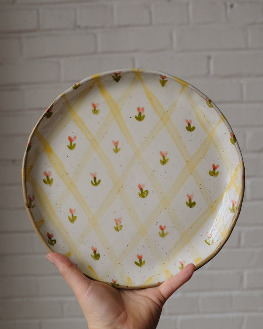 picnic dinner plate 07