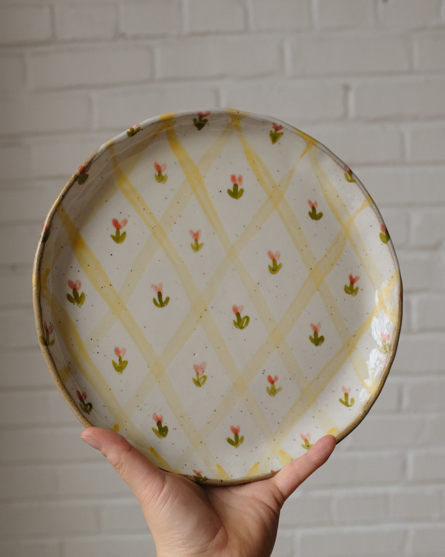 picnic dinner plate 07