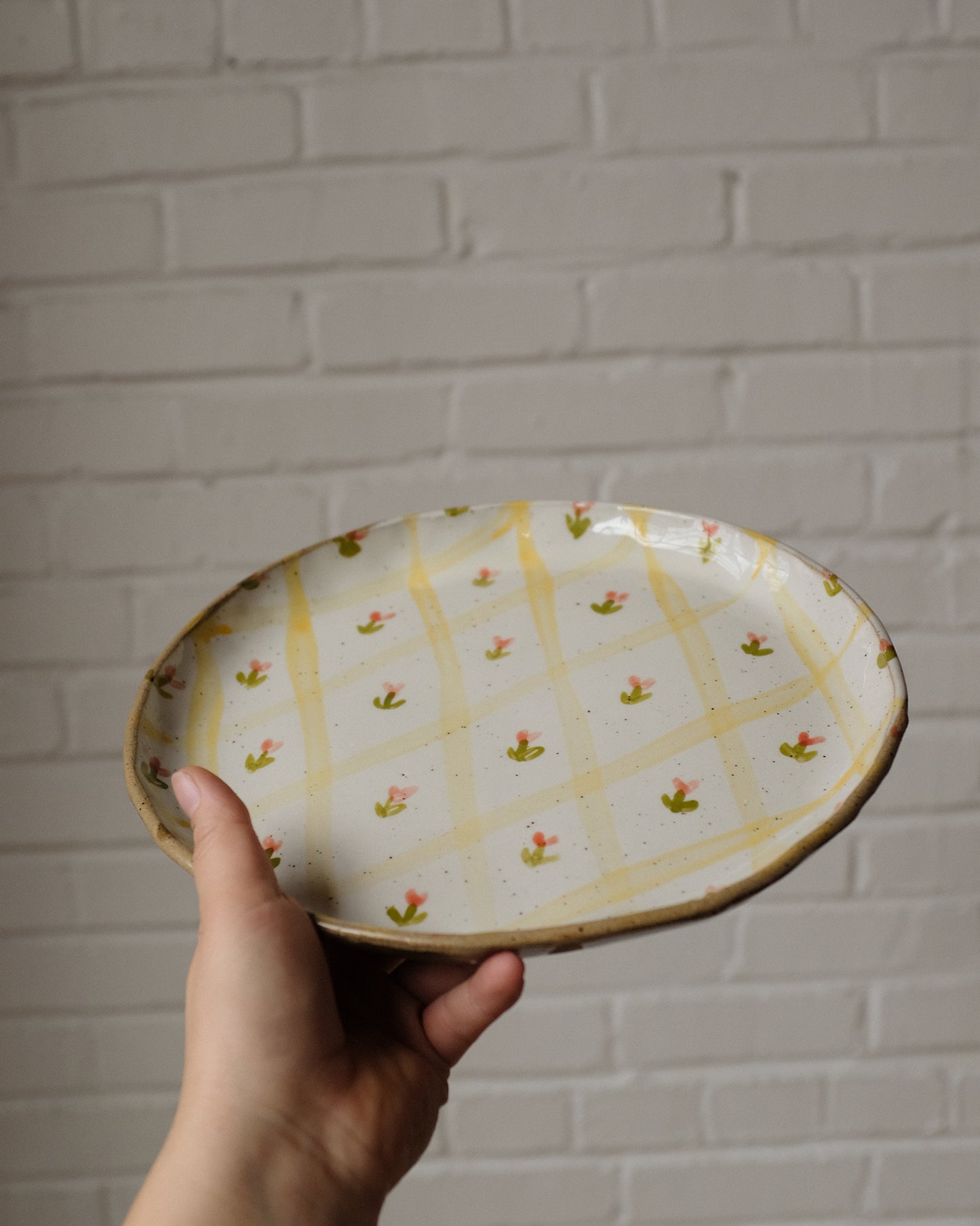 picnic dinner plate 07