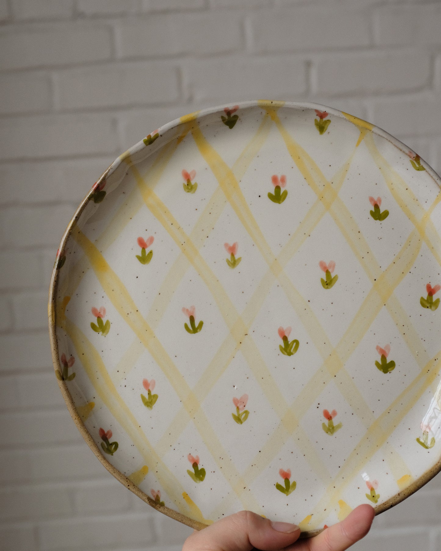 picnic dinner plate 07