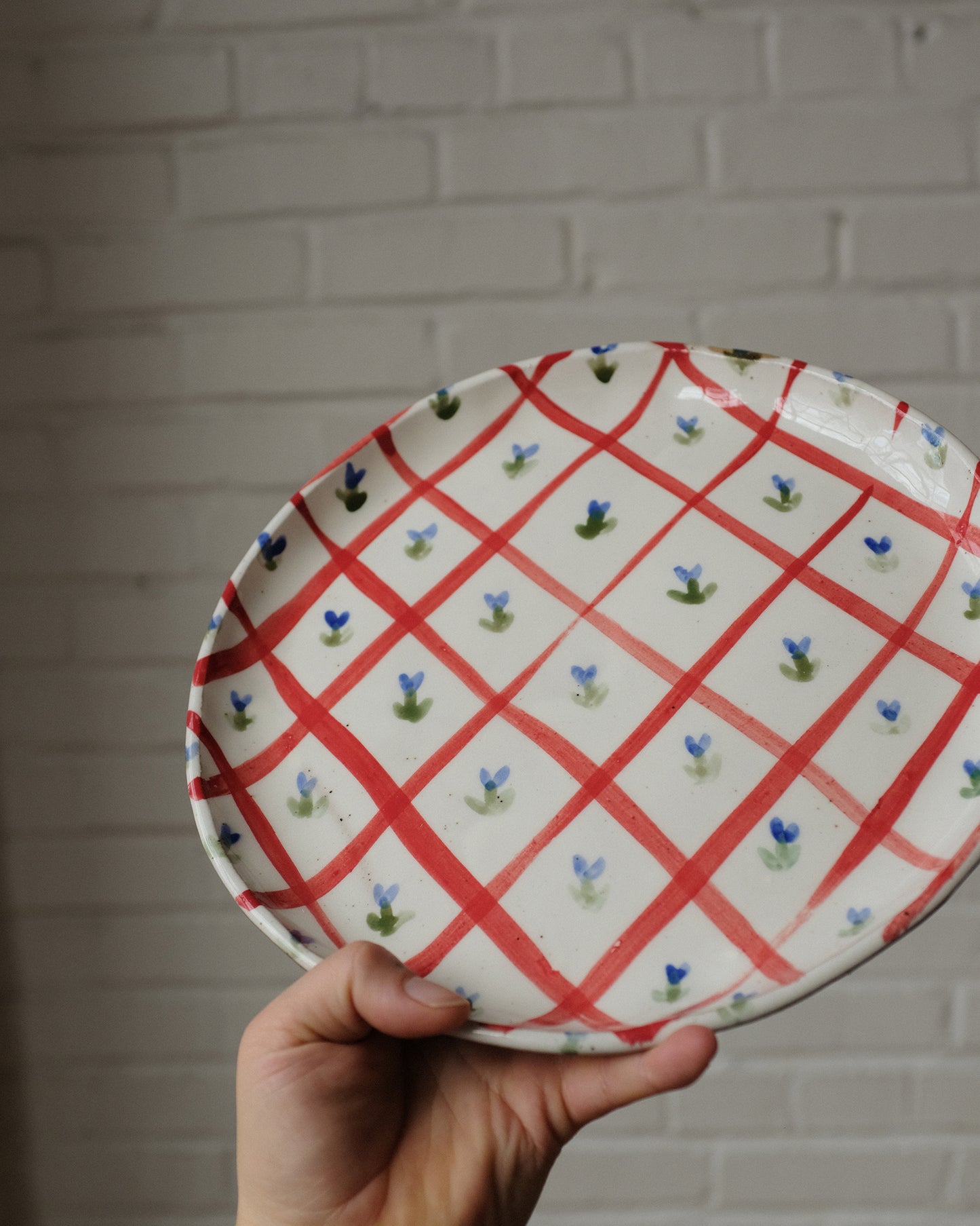 picnic dinner plate 08