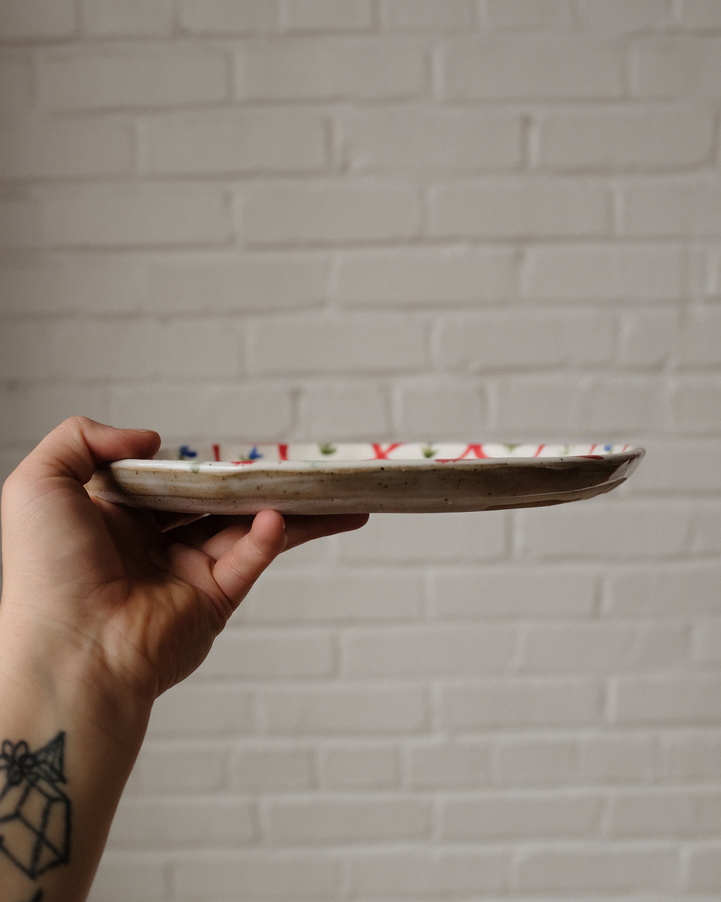 picnic dinner plate 08