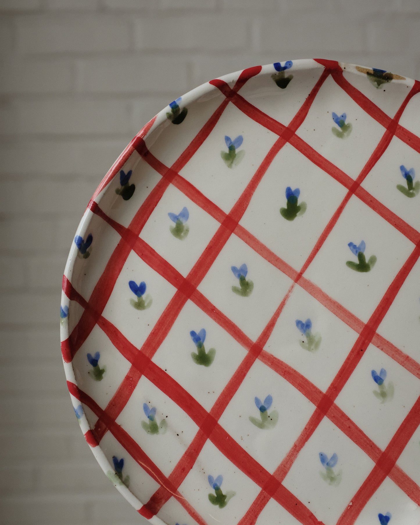 picnic dinner plate 08