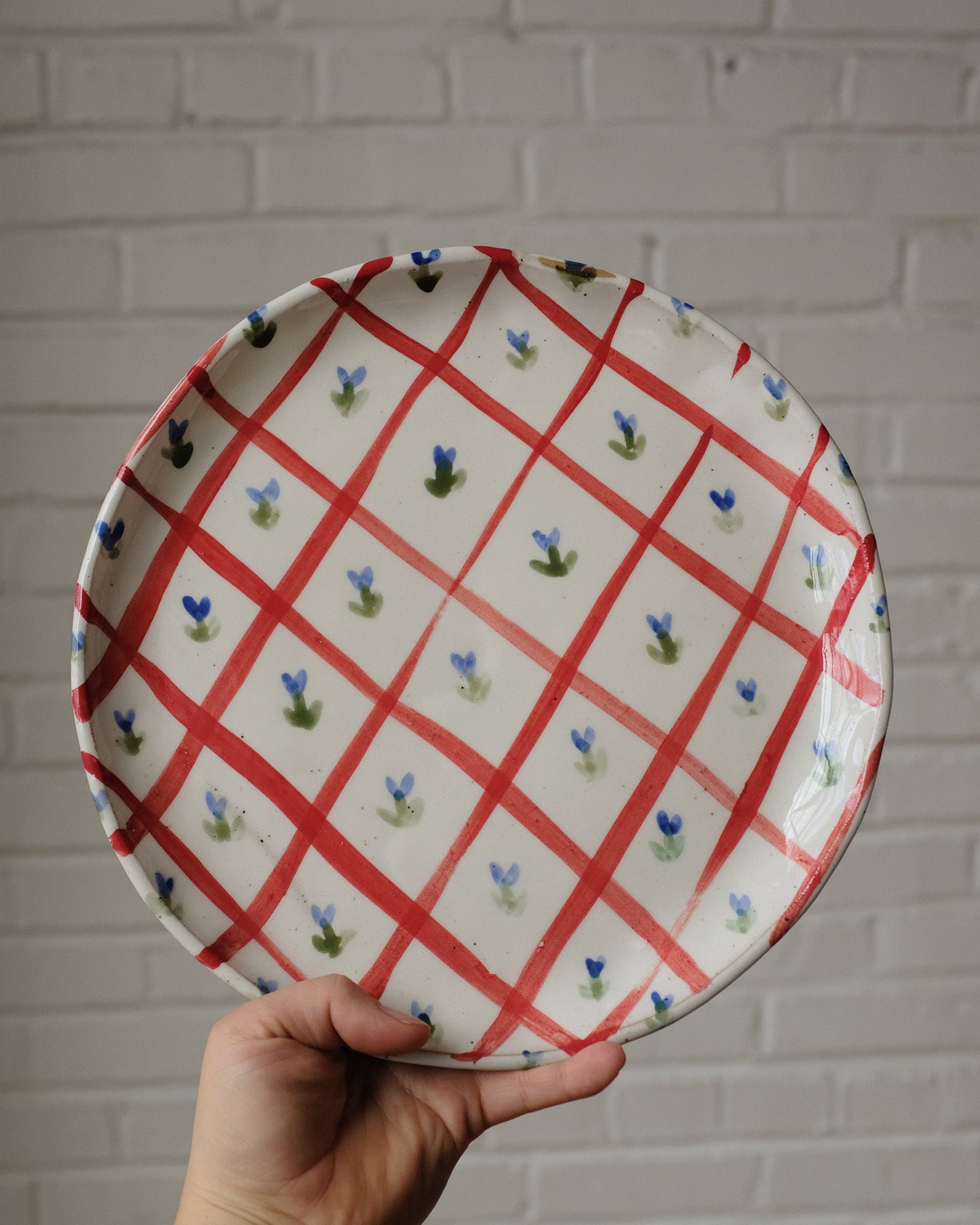 picnic dinner plate 08