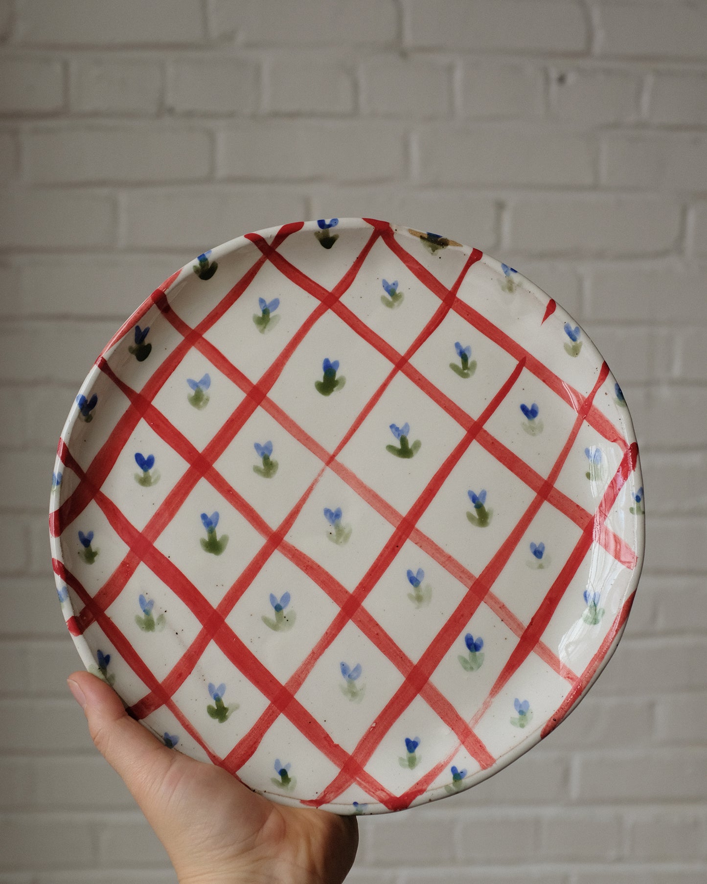 picnic dinner plate 08