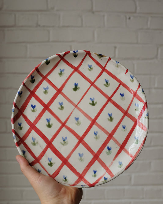 picnic dinner plate 08