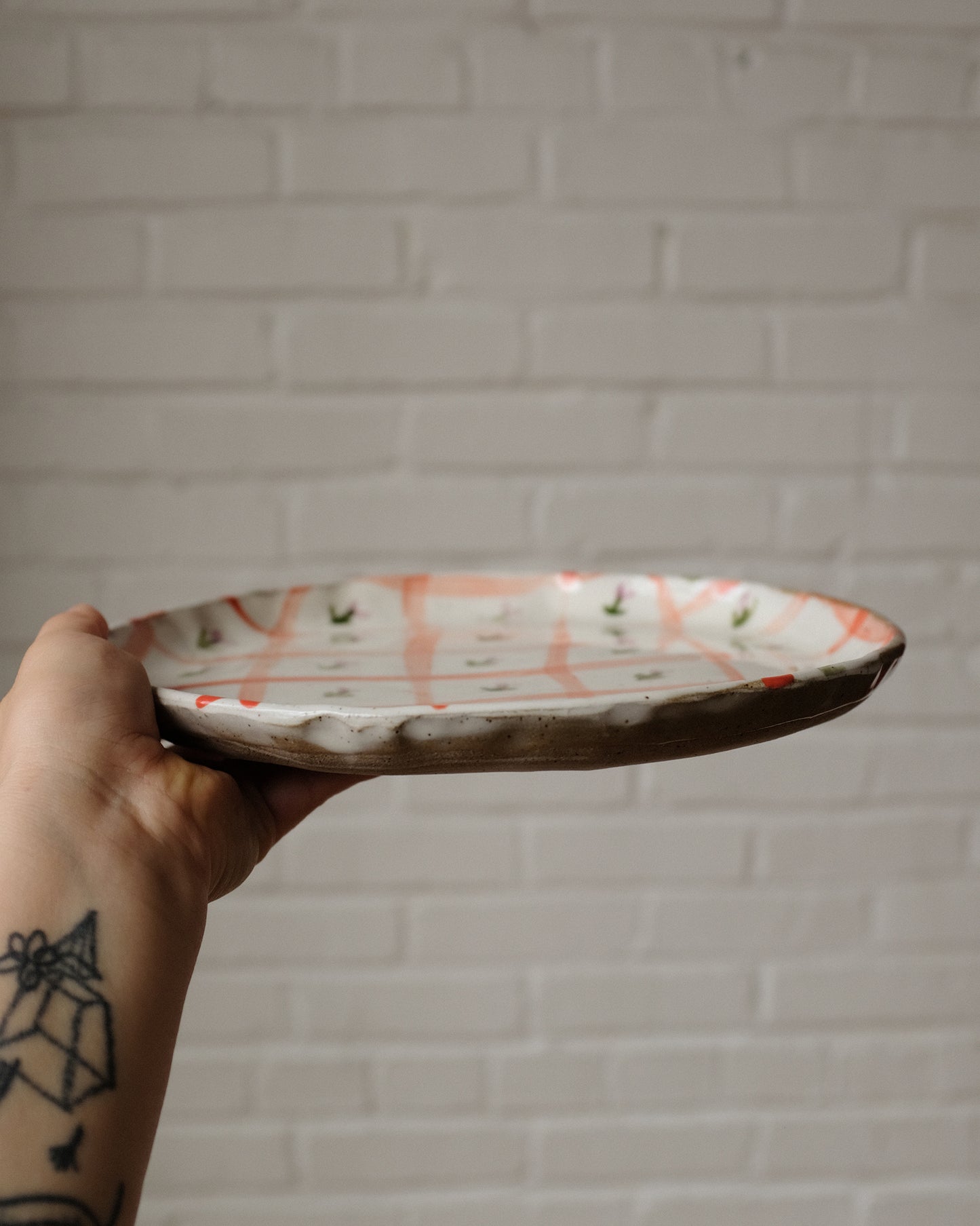 picnic dinner plate 09