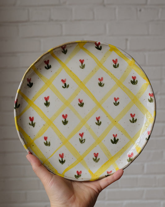 picnic dinner plate 10