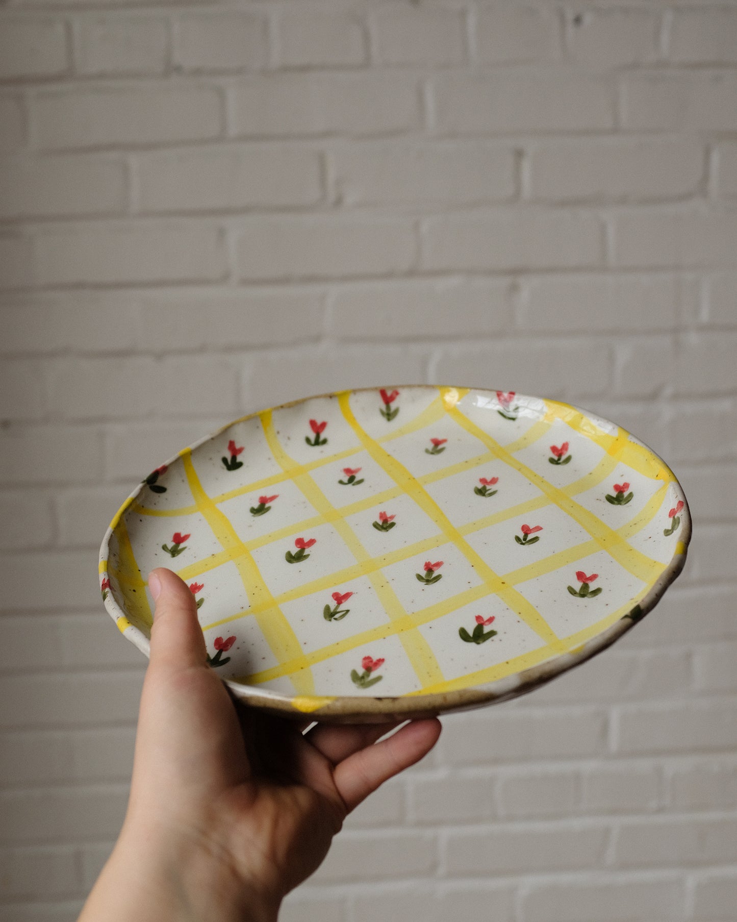 picnic dinner plate 10